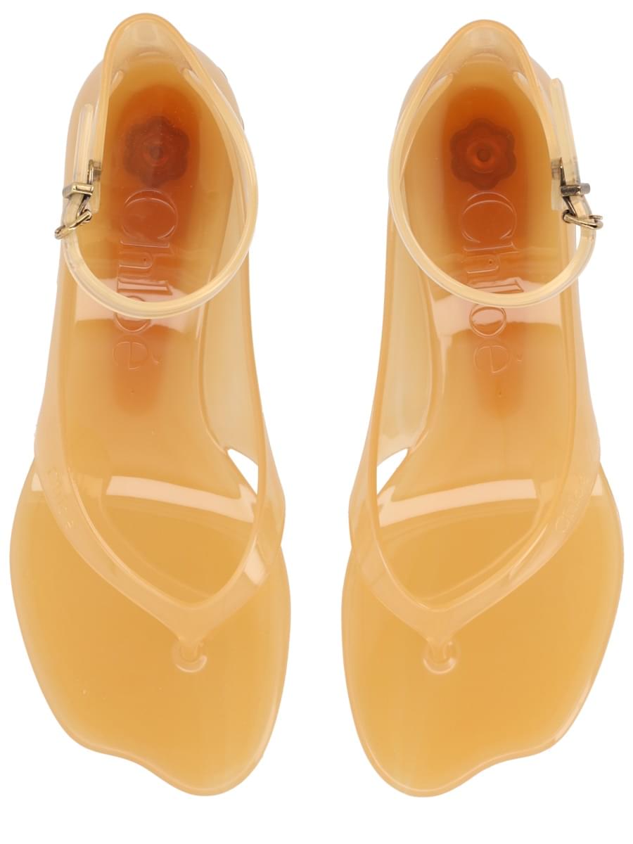Chloé Women Sandalo "Chloè Jelly" CHLOE