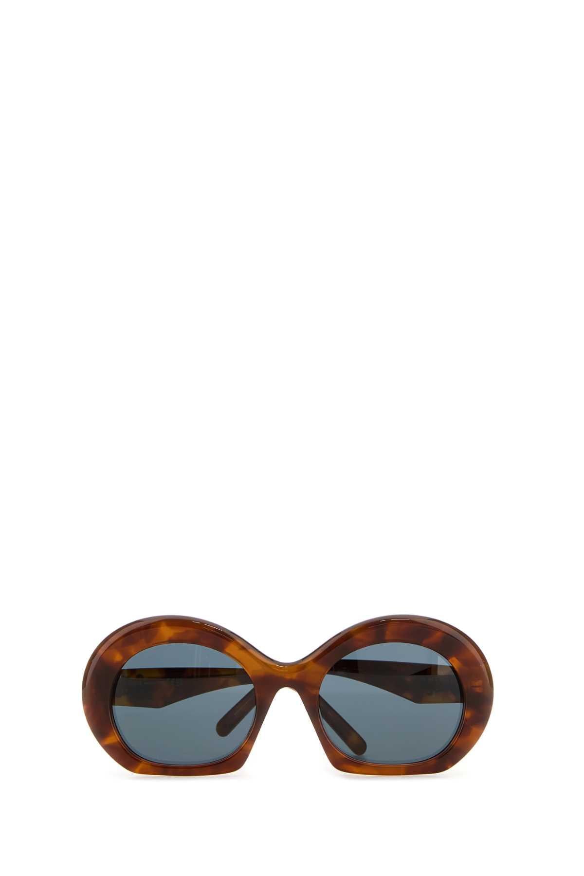 Loewe Women Printed Acetate Sunglasses LOEWE