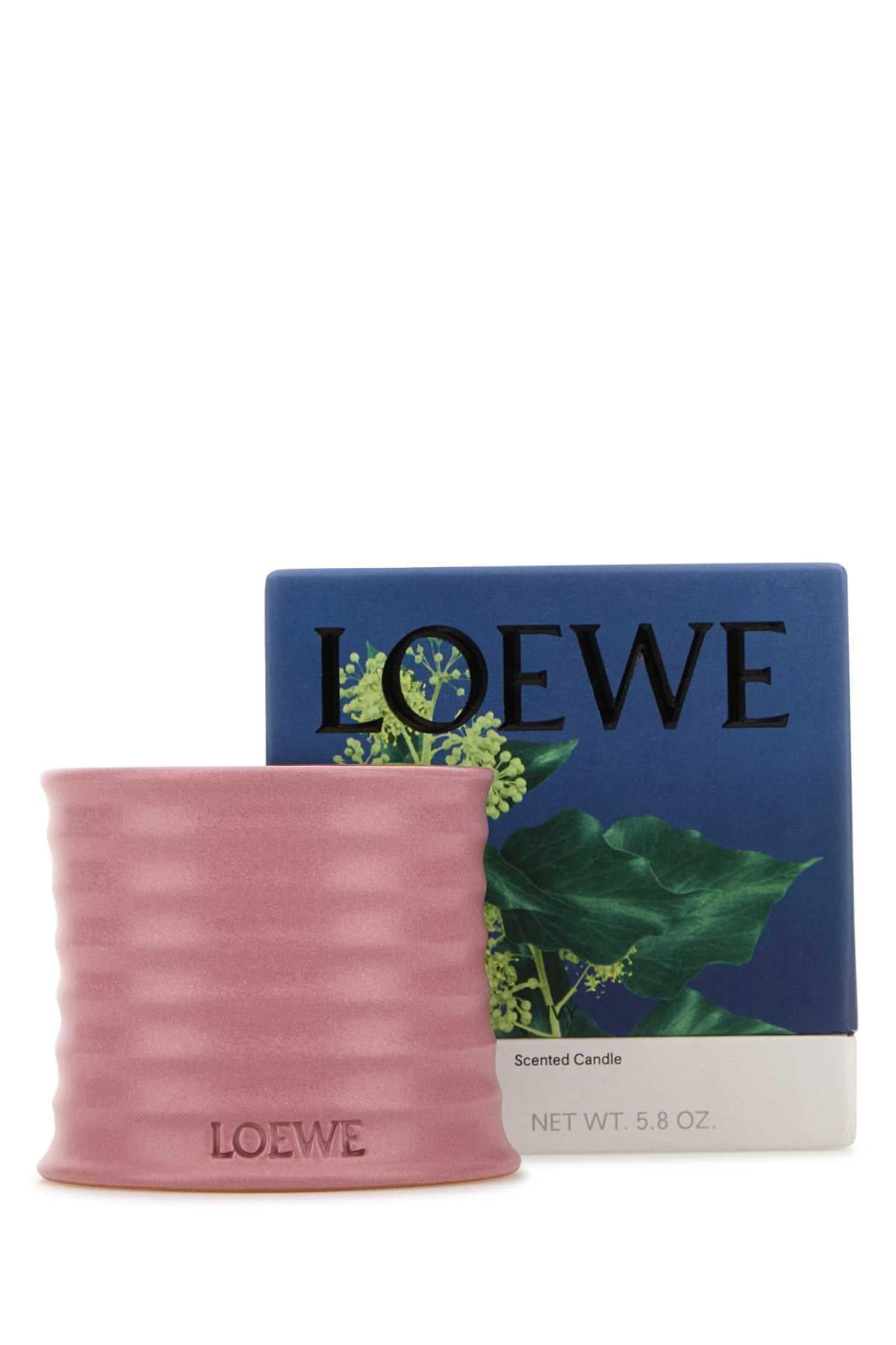 Loewe Unisex Small Ivy Scented Candle LOEWE