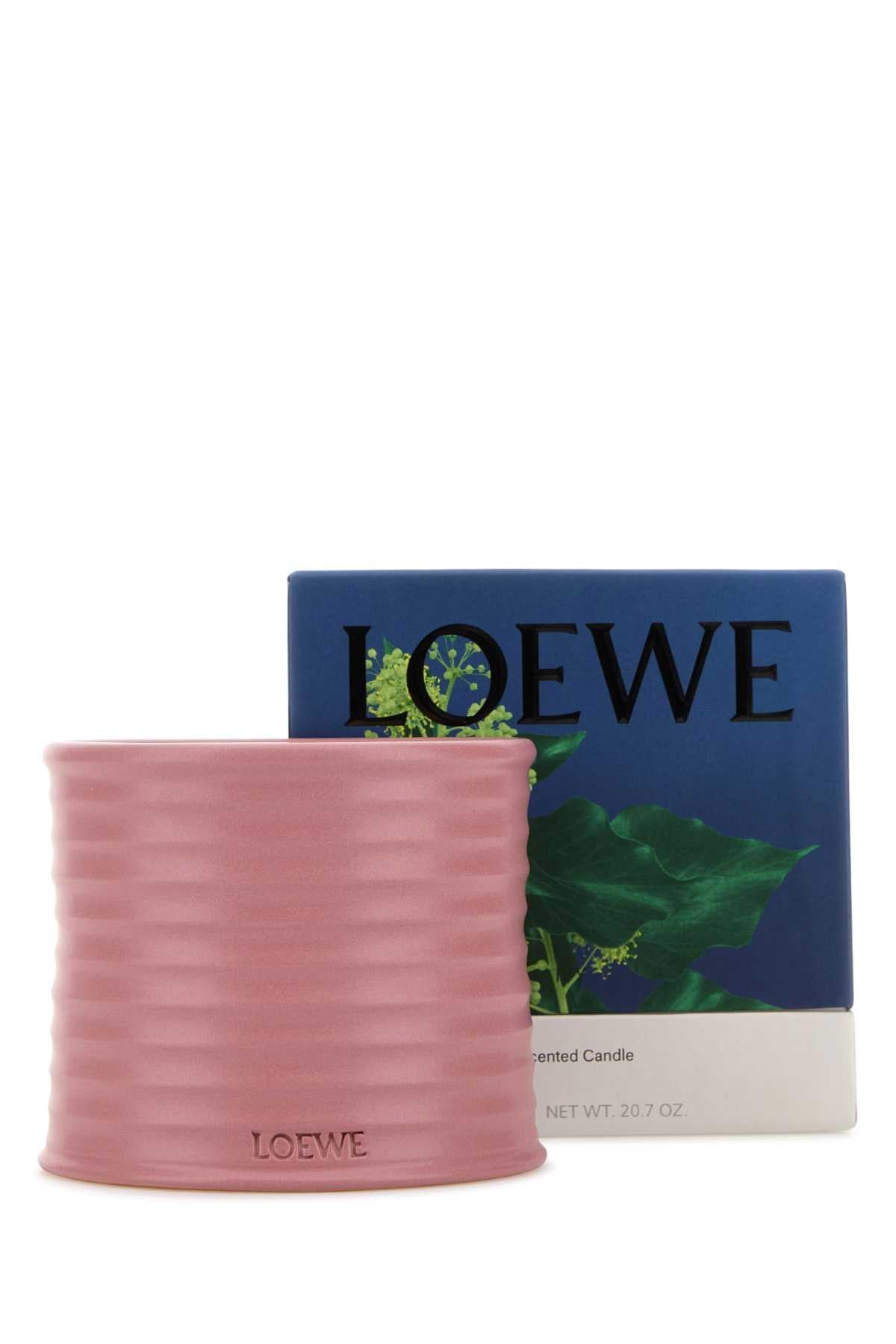Loewe Unisex Medium Ivy Scented Candle LOEWE
