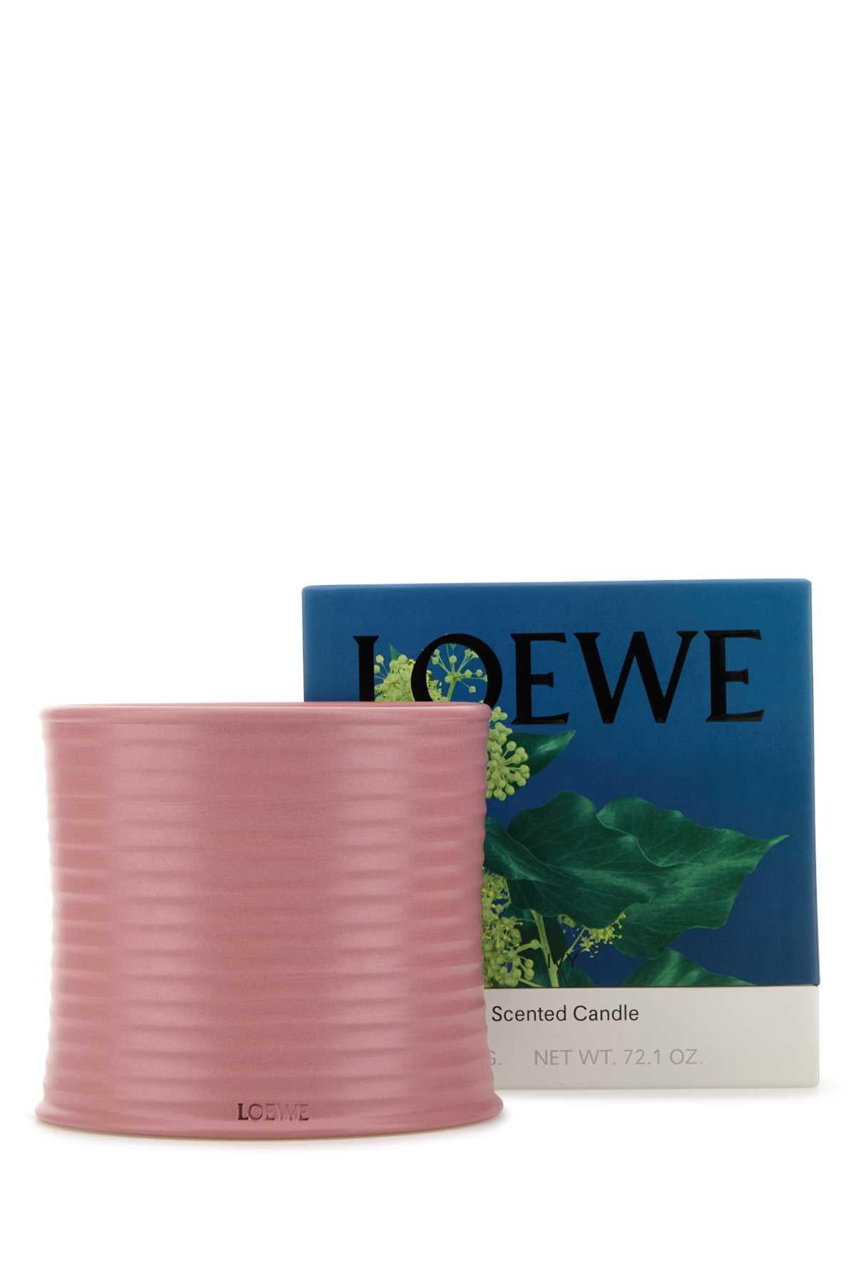 Loewe Unisex Large Ivy Scented Candle LOEWE