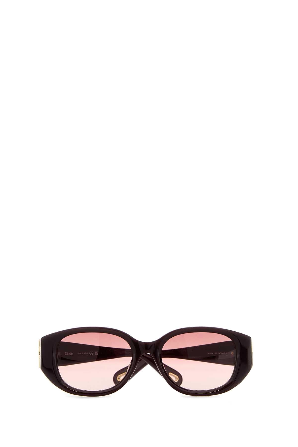 Chloe Women Burgundy Acetate Sunglasses CHLOE