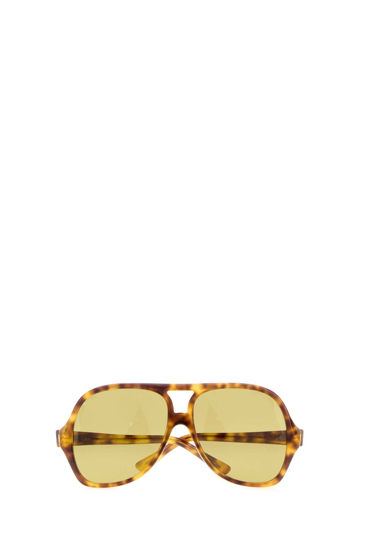 Chloe Women Multicolor Acetate Salome Sunglasses CHLOE