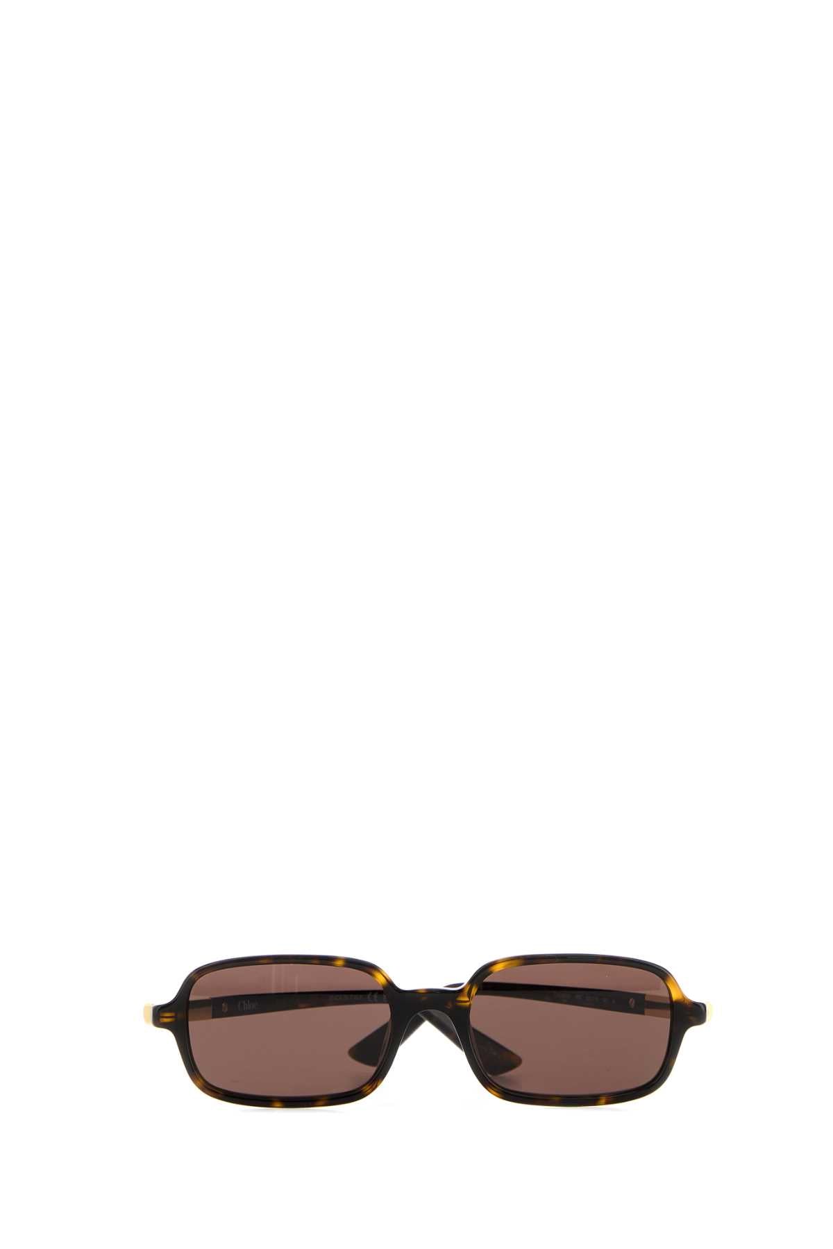 Chloe Women Printed Acetate Sunglasses CHLOE