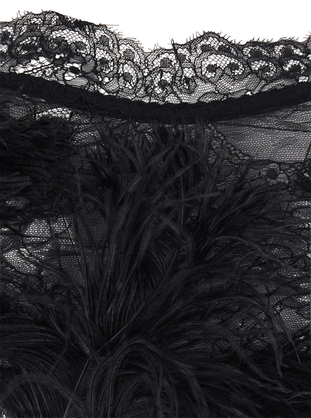 The Attico Women Embroidered Ostrich Feathers On Lace THE ATTICO