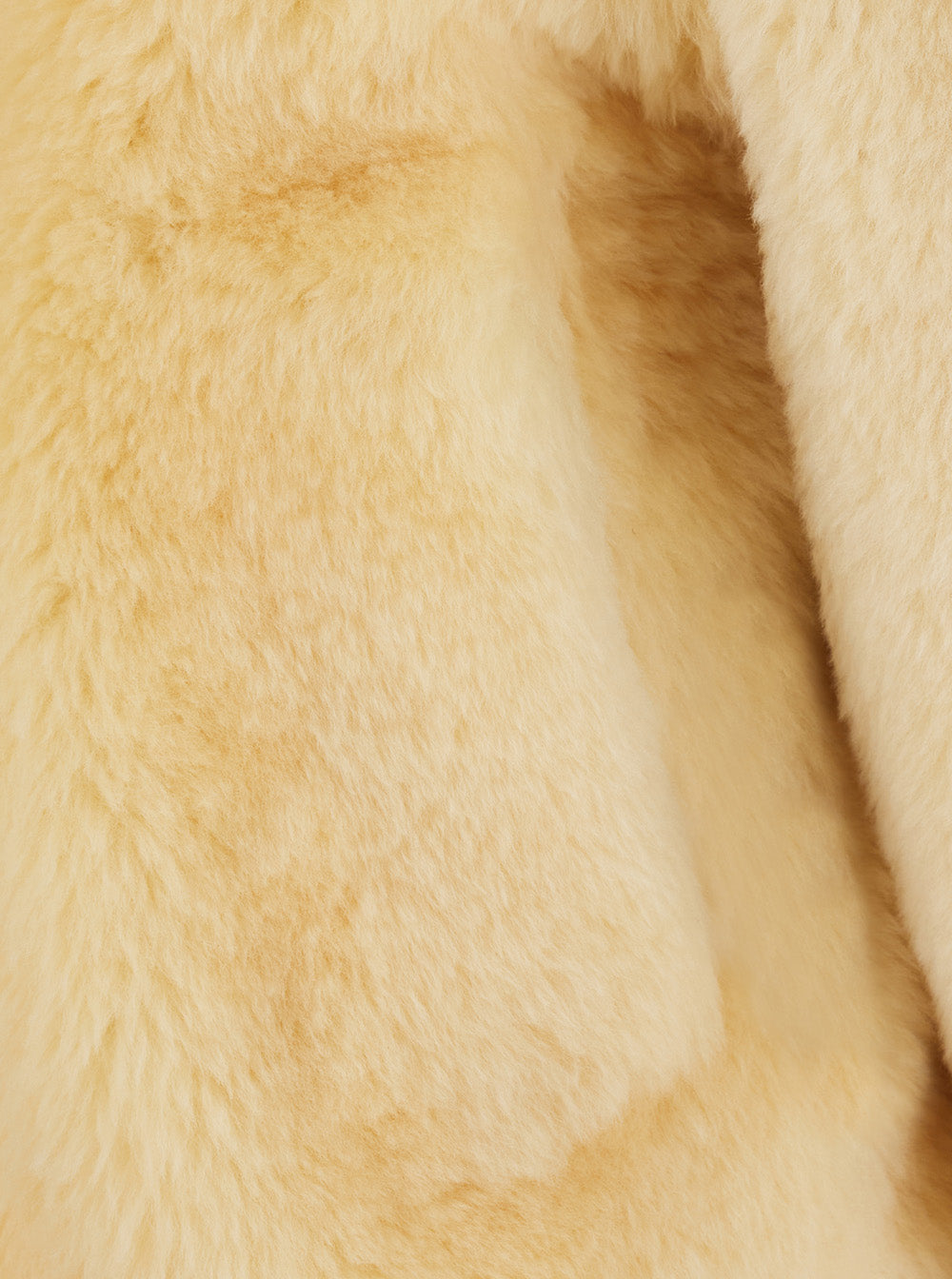 Bottega Veneta Women Teddy Straight Shearling Blouson Leather Details BOTTEGA VENETA