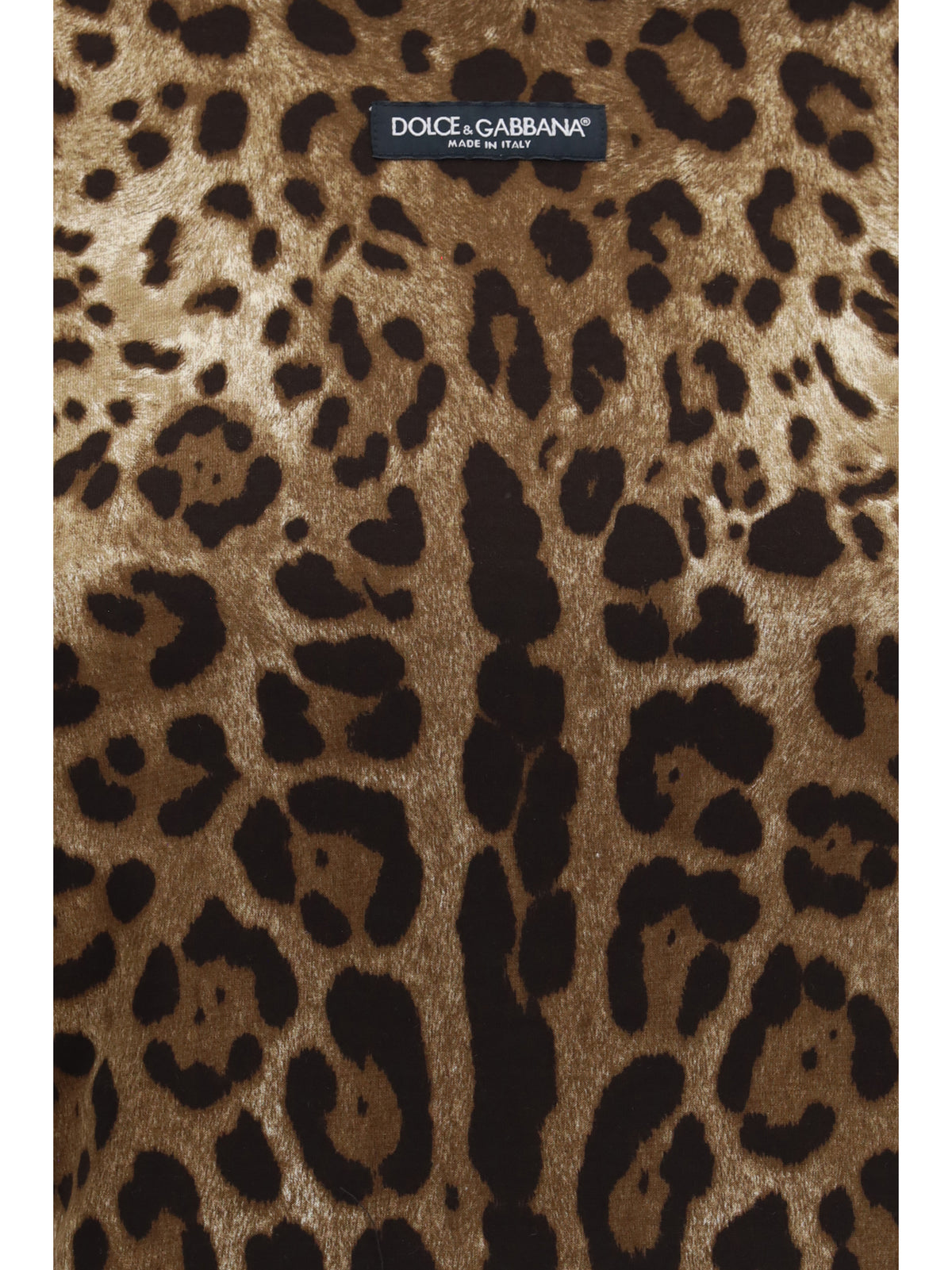 Dolce & Gabbana Women Leopard-Print Cropped T-Shirt DOLCE & GABBANA