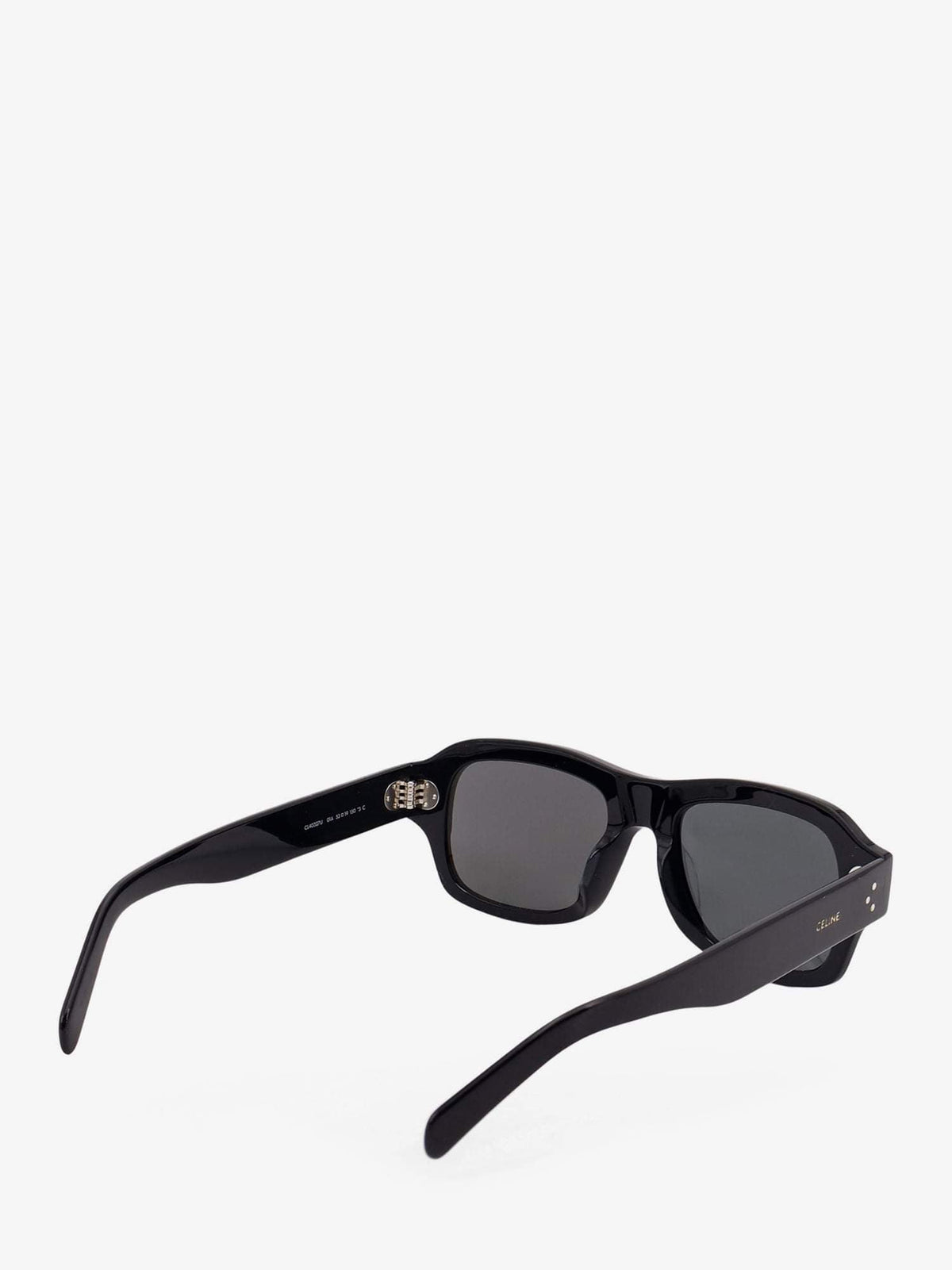 Celine Men Celine Men Acetate Sunglasses CELINE
