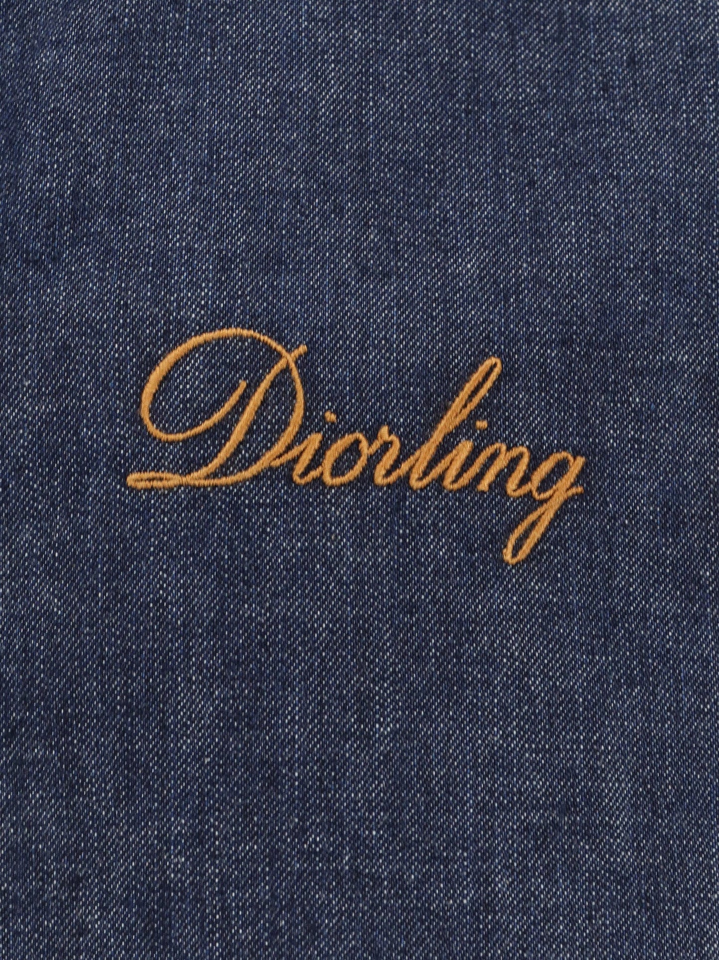 Dior Men Diorling Denim Jacket CHRISTIAN DIOR