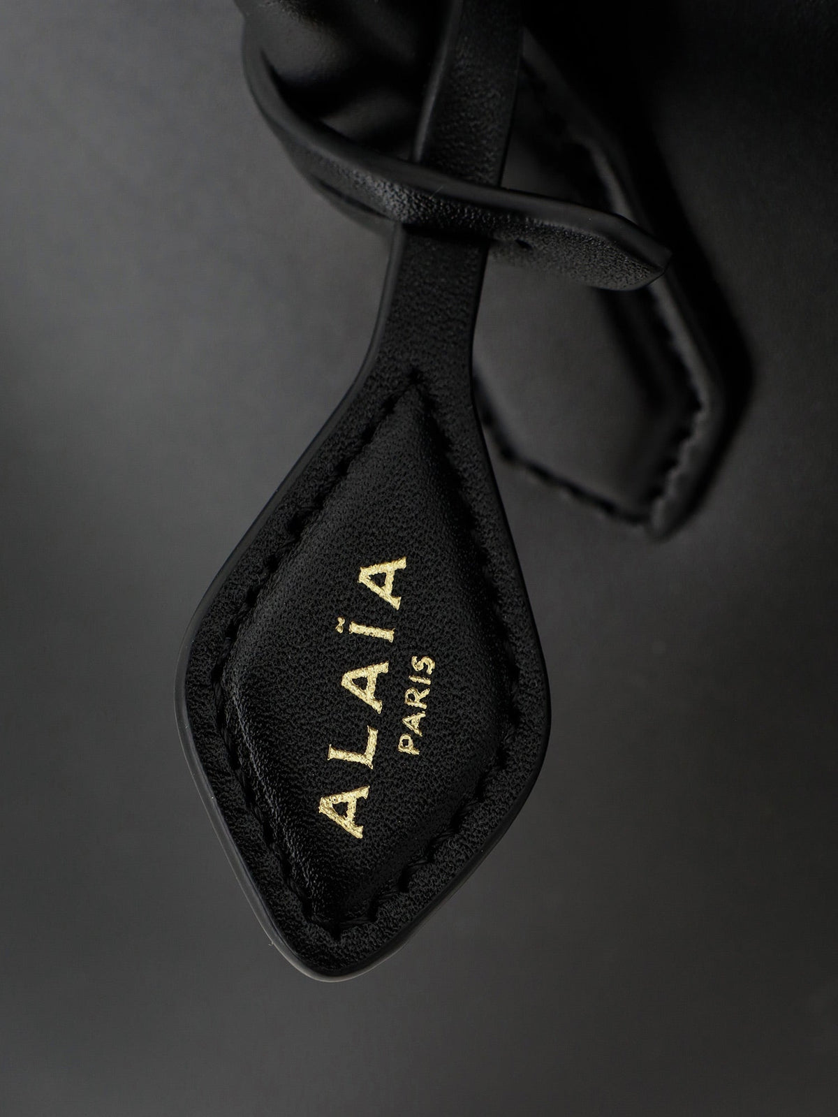 Alaia Women Delta Medium Leather Handbag ALAIA