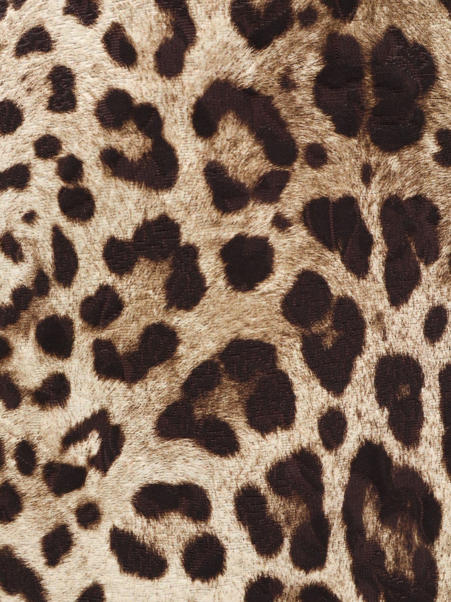 Dolce & Gabbana Women Cotton, Silk And Viscose Mini Skirt With Animal Motif DOLCE & GABBANA