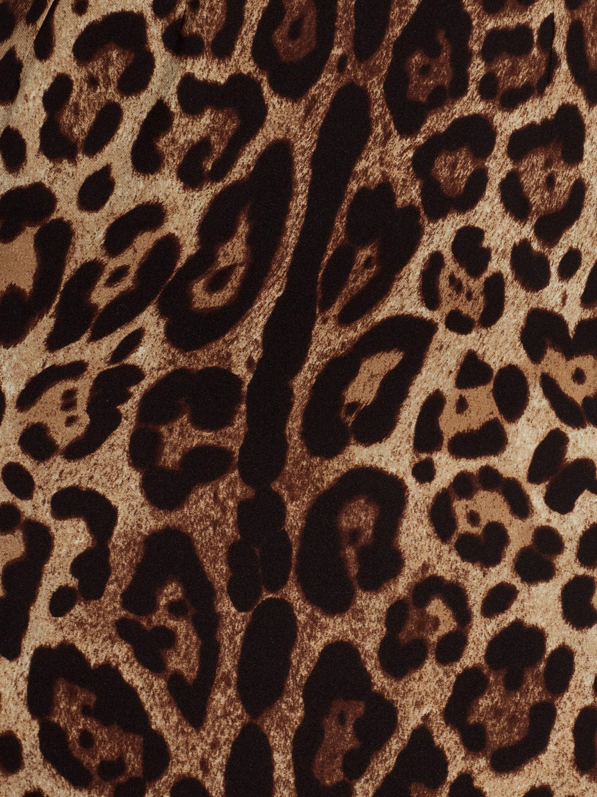 Dolce & Gabbana Women Dolce & Gabbana Women Midi Dress With Animal Print DOLCE & GABBANA