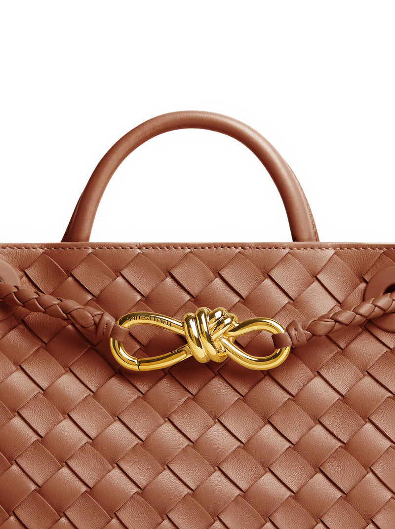 Bottega Veneta Women Andiamo Small Bag BOTTEGA VENETA