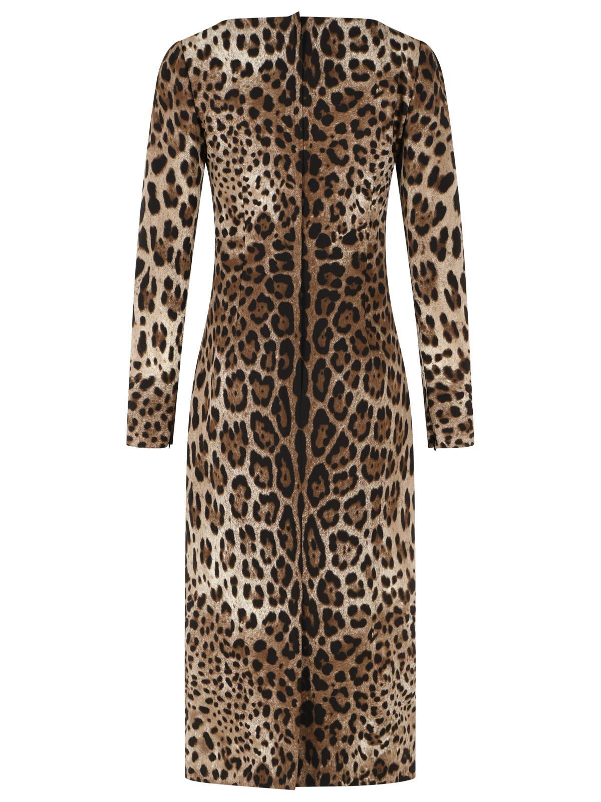 Dolce & Gabbana Leo Print Stretch Viscose Dress Women DOLCE & GABBANA