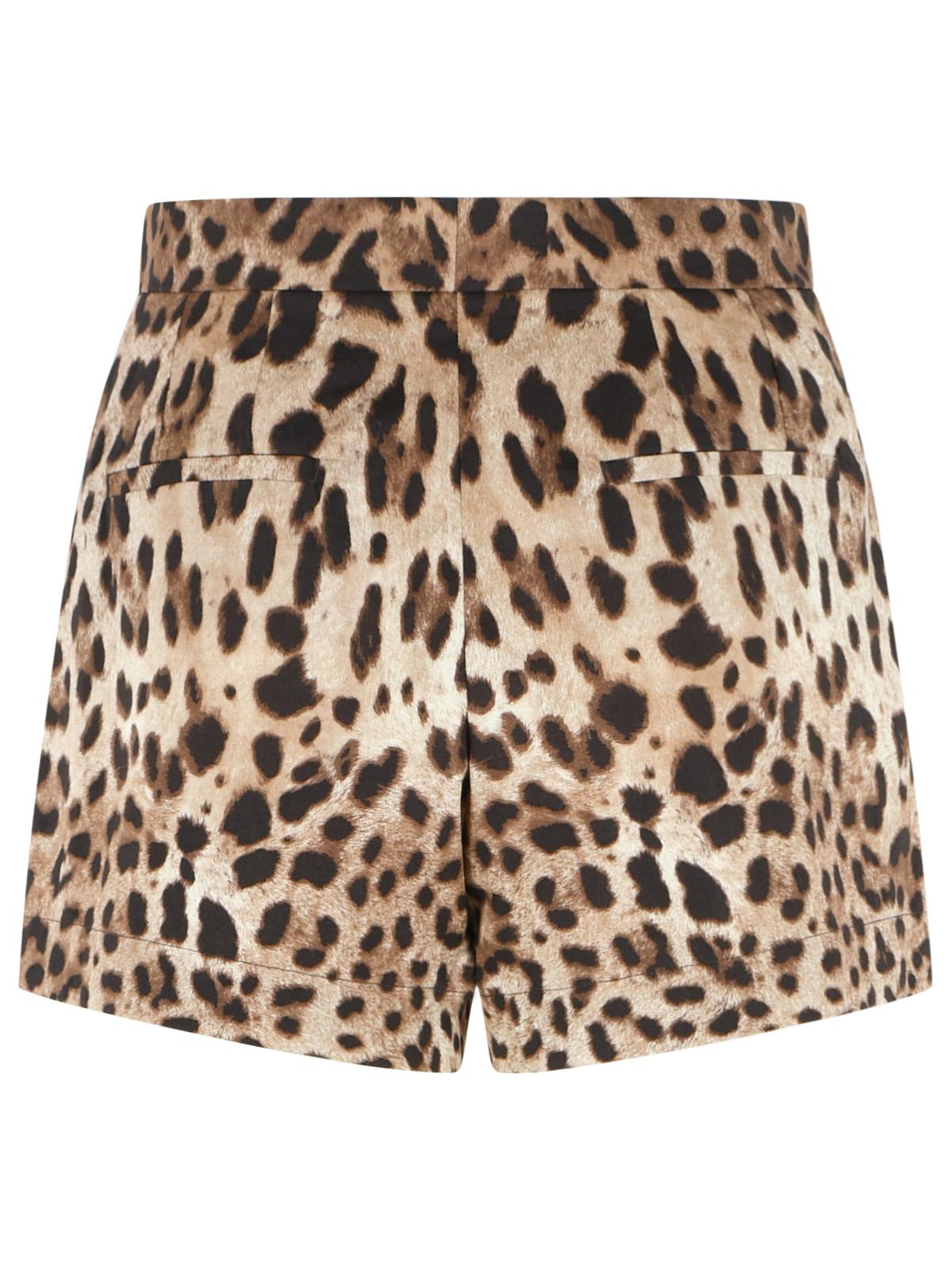 Dolce & Gabbana Leopard Print Cotton Shorts Women DOLCE & GABBANA