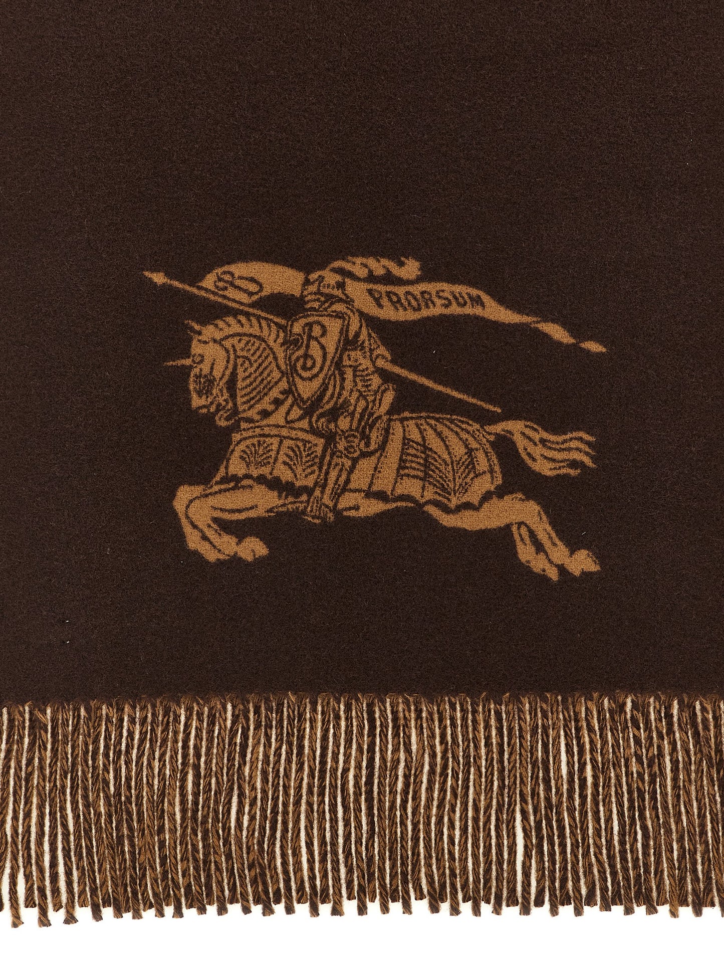 Burberry Men 'Knight' Reversible Scarf BURBERRY