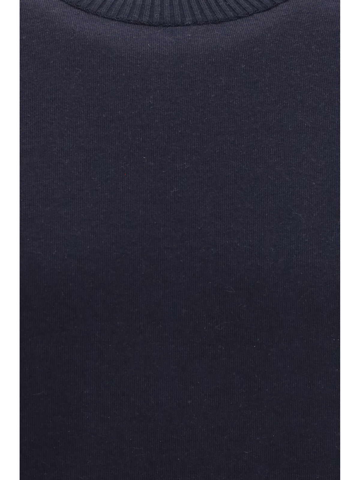 Loro Piana Men Whitney Crew Neck Sweatshirt LORO PIANA