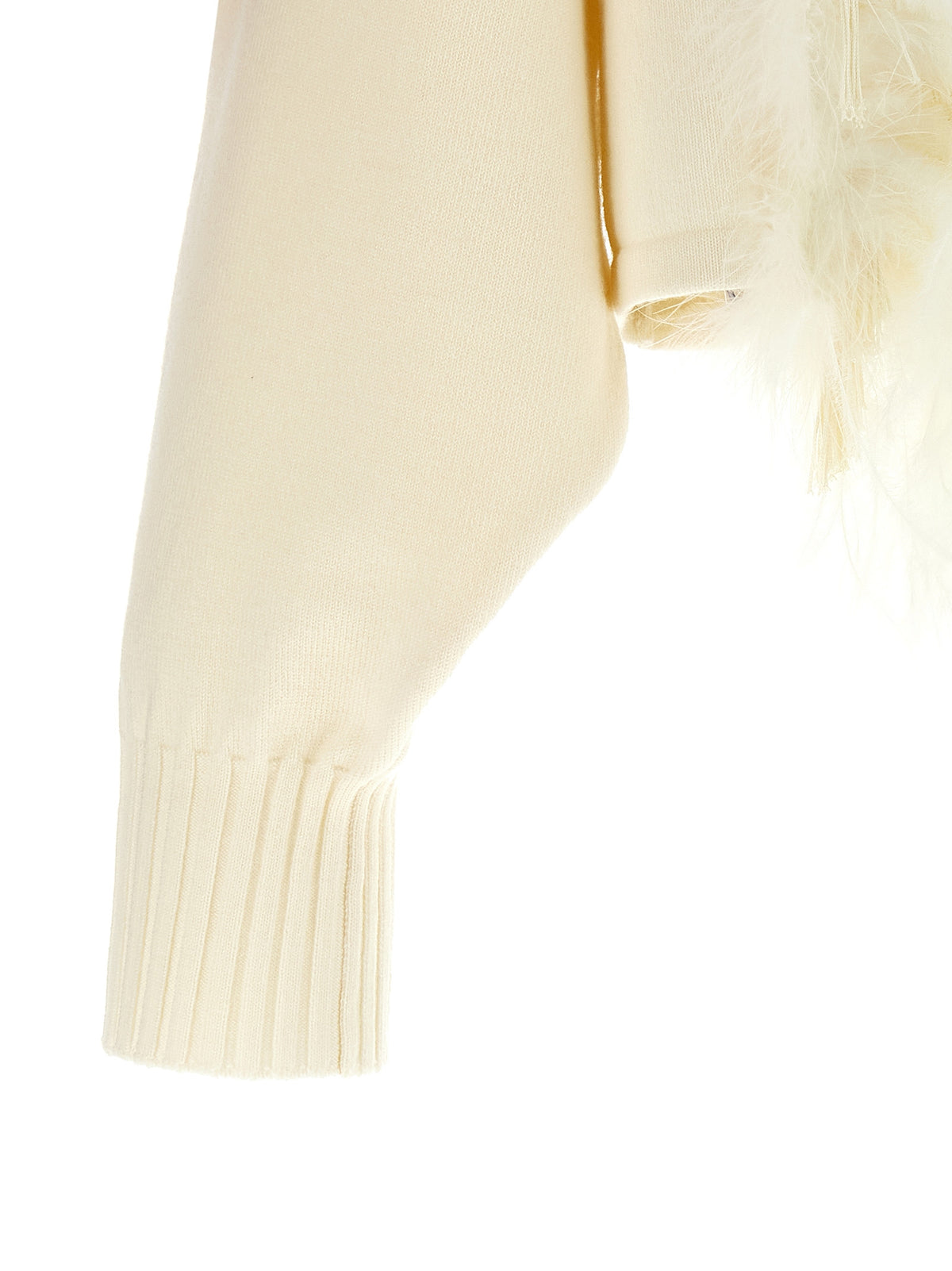 Alberta Ferretti Women Feather Cropped Sweater ALBERTA FERRETTI