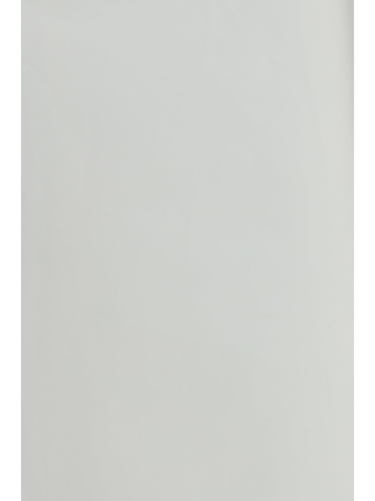 Rier Women Bonded Cotton Skirt RIER