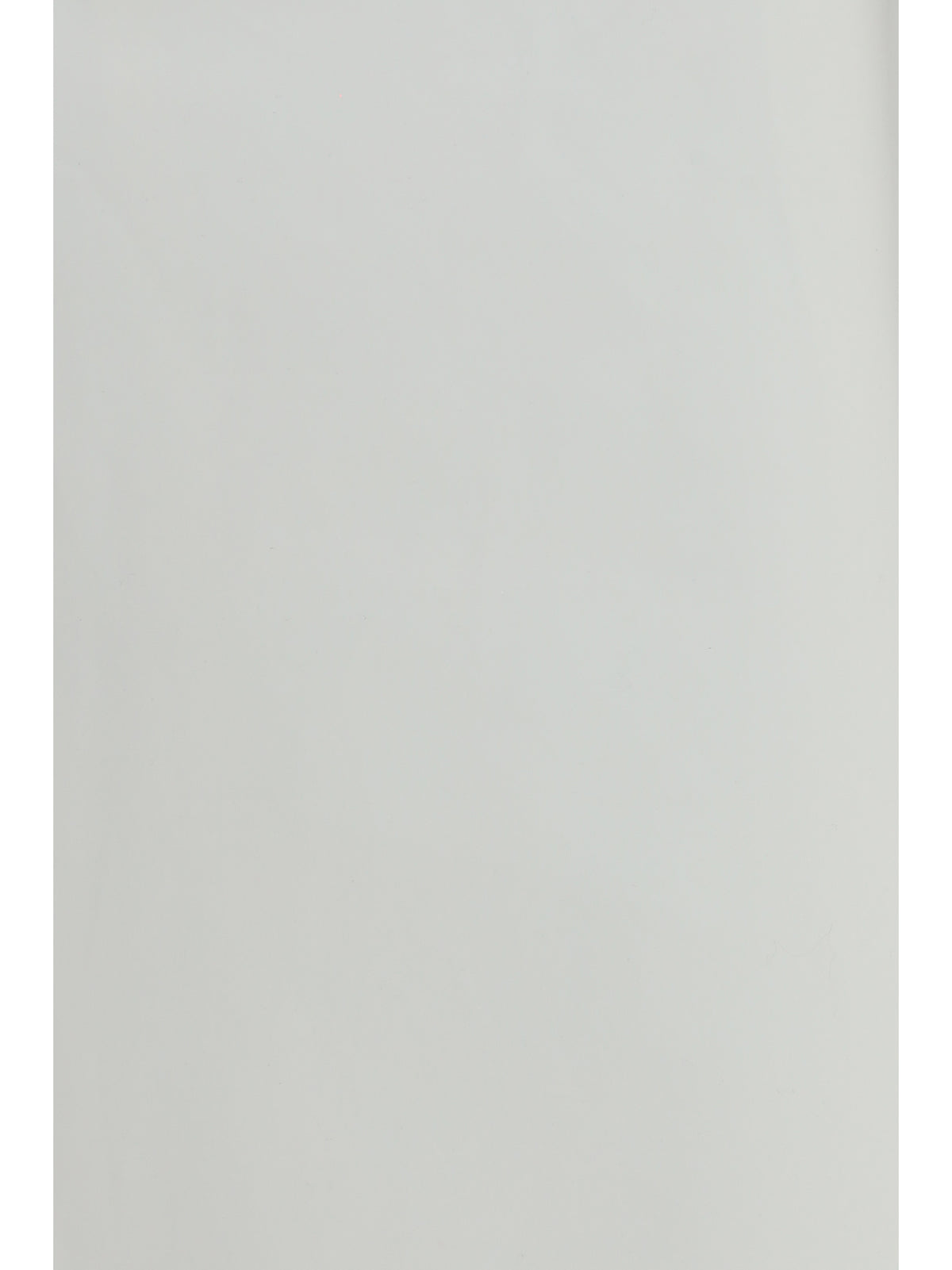 Rier Women Bonded Cotton Skirt RIER