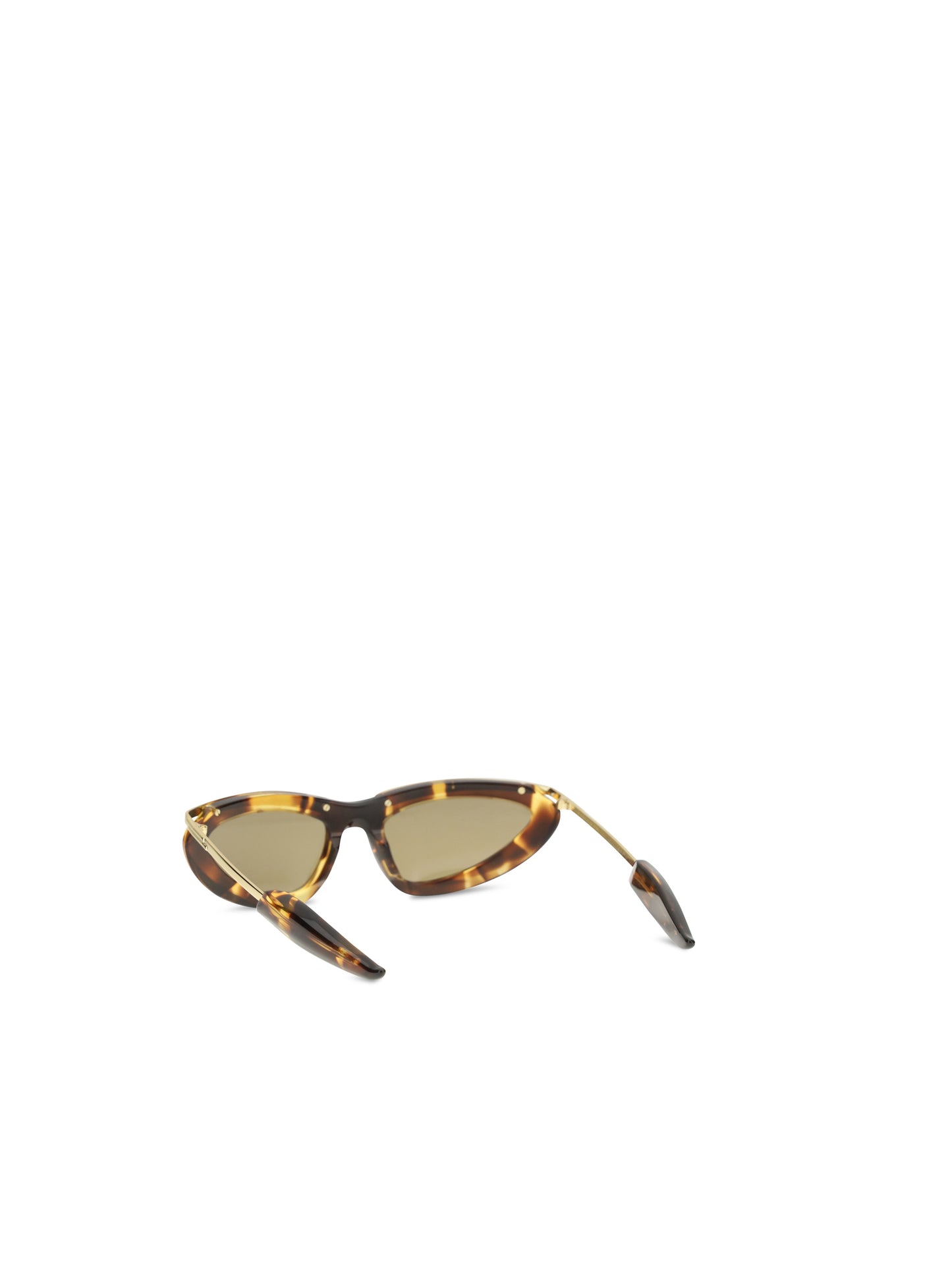 Bottega Veneta Women Prisma Cat-Eye Sunglasses