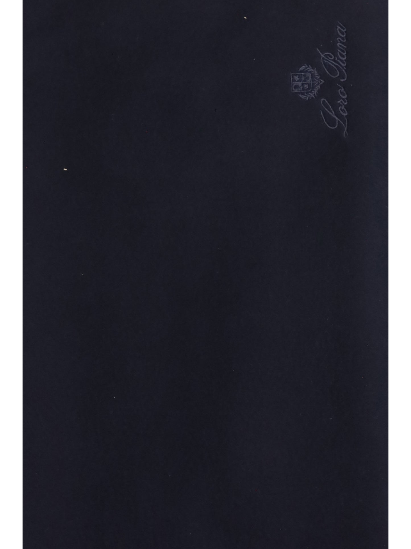 Loro Piana Men Cashmere Scarf LORO PIANA