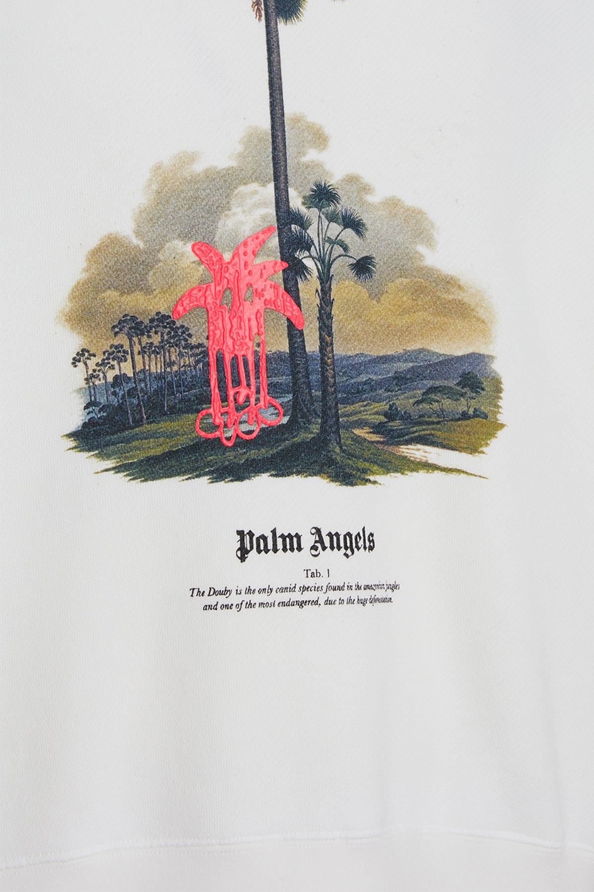 Palm Angels Man Clothing Sweatshirts PALM ANGELS
