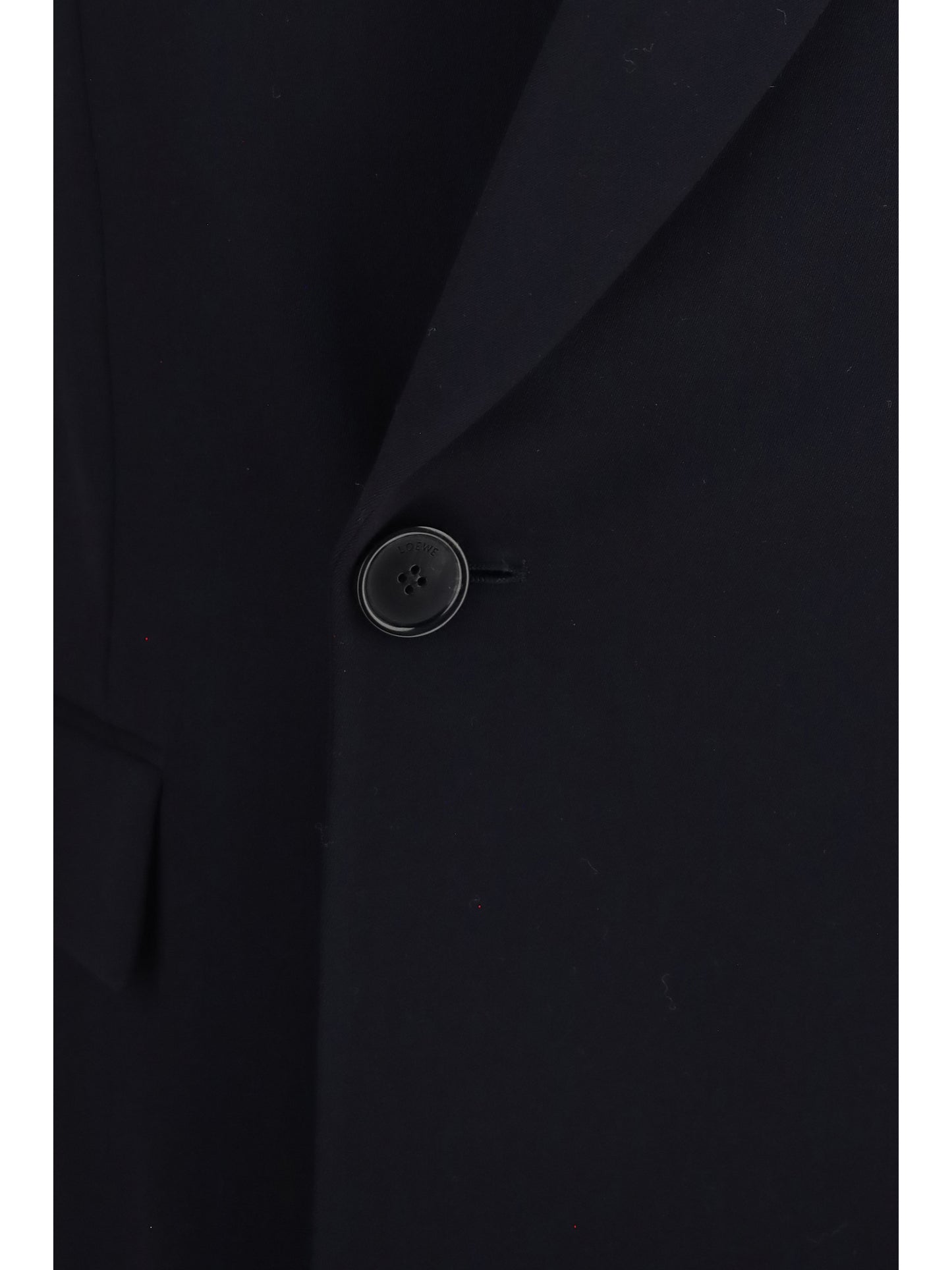 Loewe Men Wool Blend Double-Breasted Jacket LOEWE
