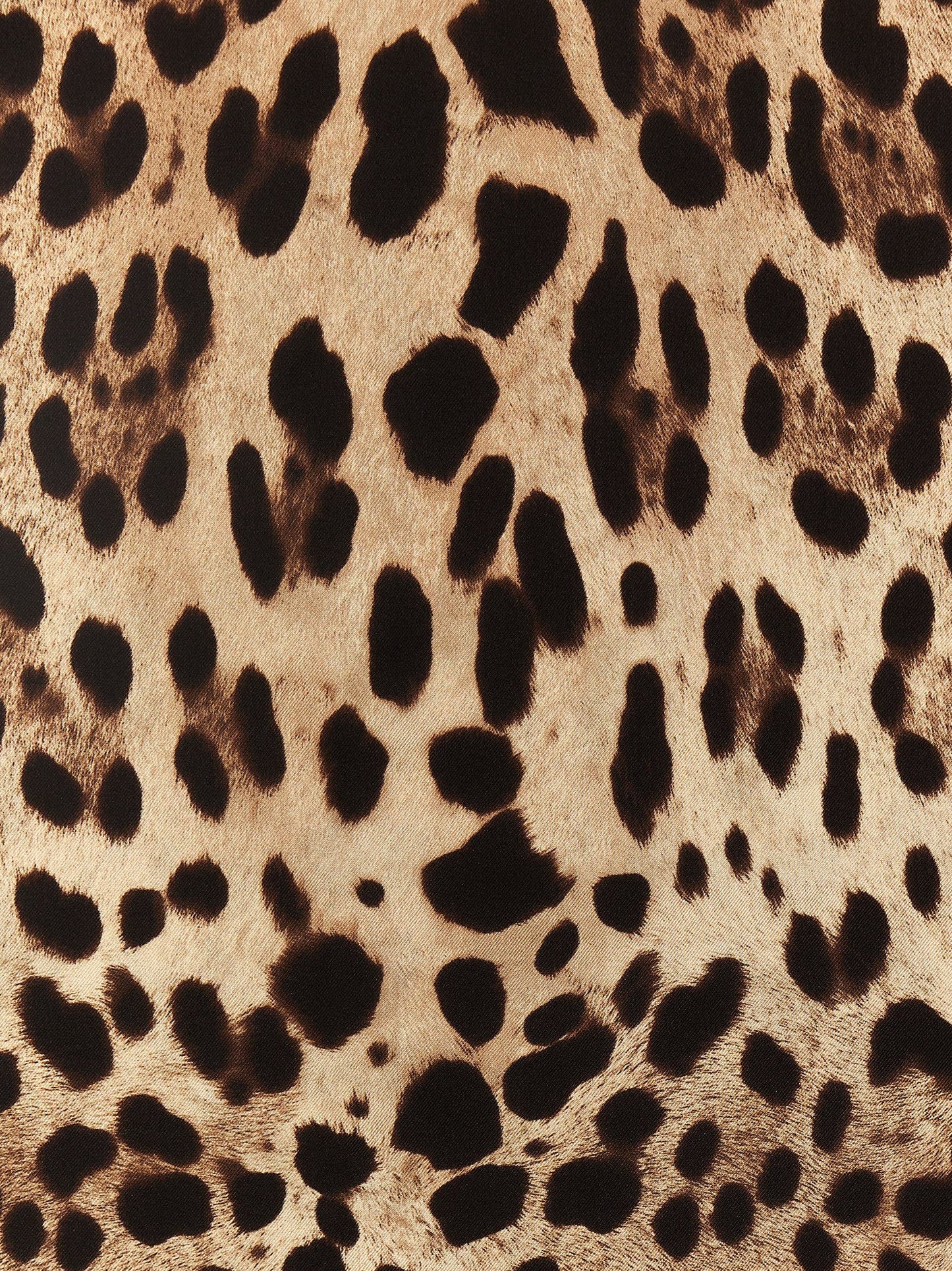 Dolce & Gabbana Women 'Leopard' Scarf DOLCE & GABBANA