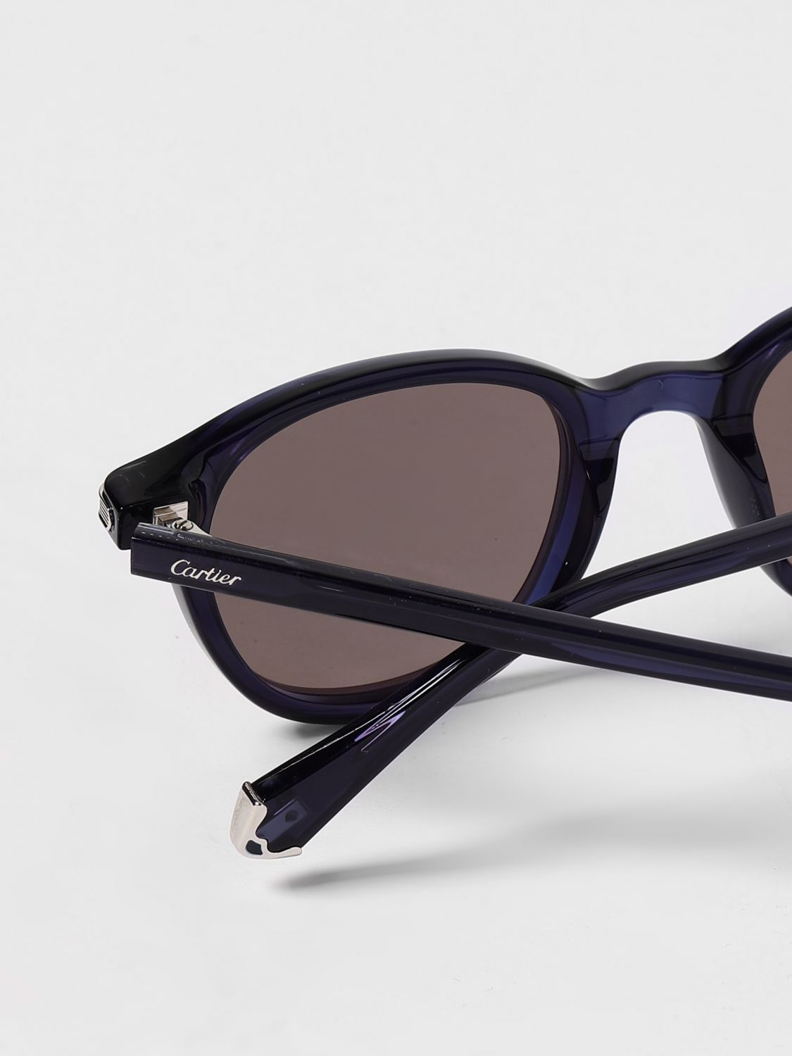 Cartier Men Ct0584s Contemporary Cartier Sunglasses In Recycled Acetate CARTIER