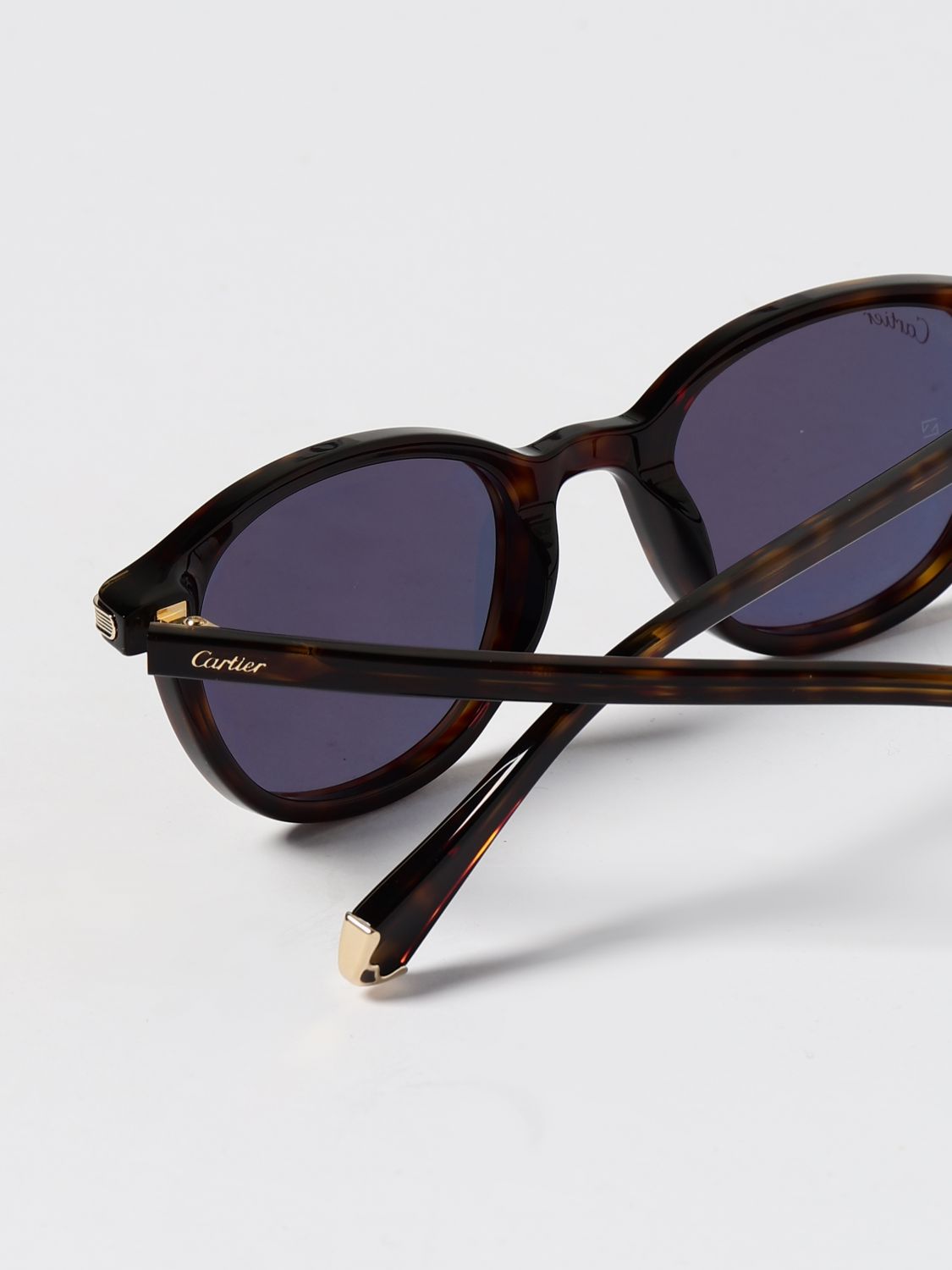 Cartier Men Ct0584s Contemporary Cartier Sunglasses In Recycled Acetate CARTIER