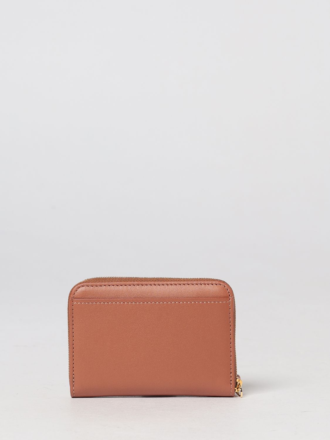 Loewe Women Loewe Continental Zip-Around Wallet In Calf Nappa