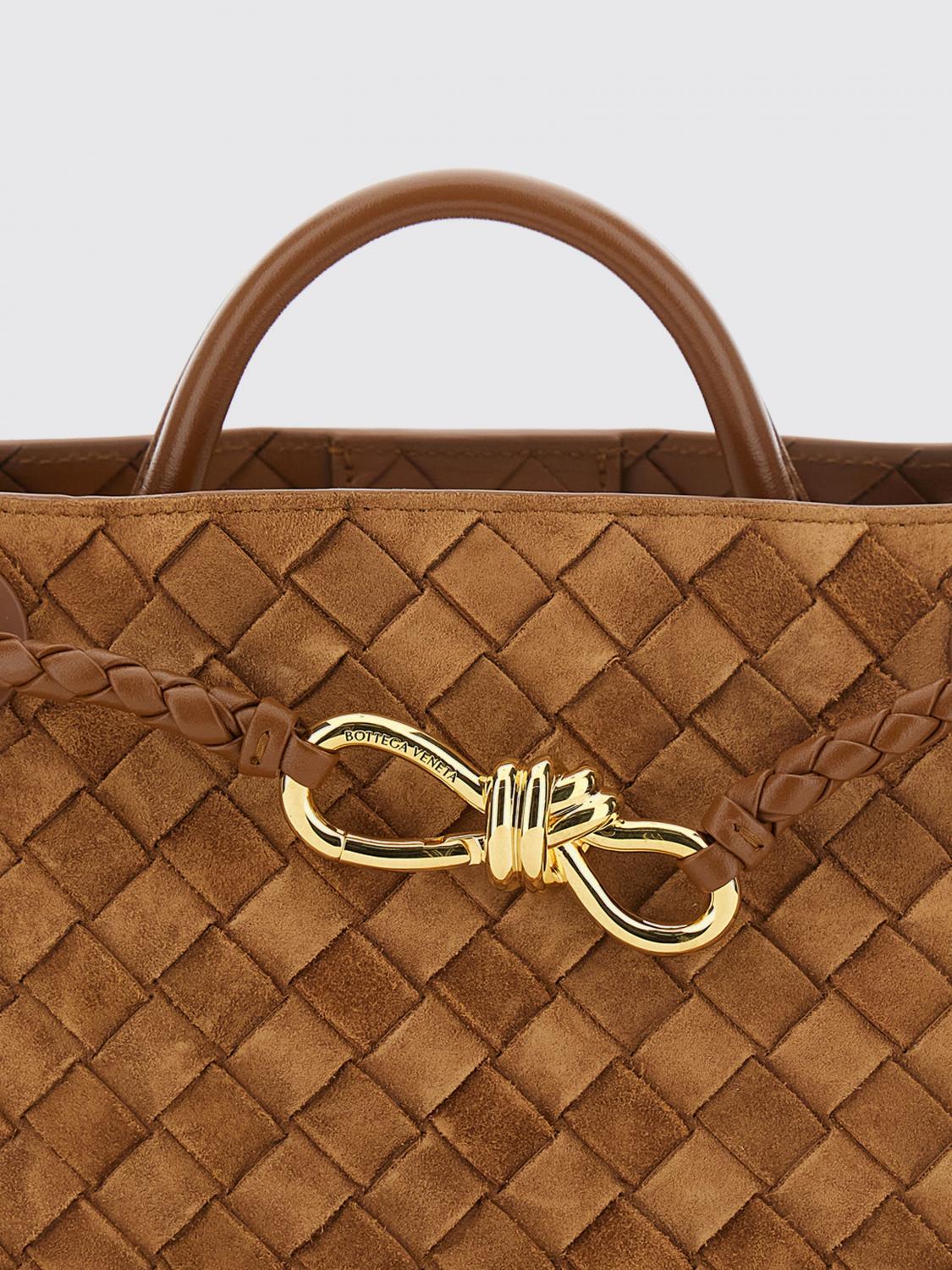 Bottega Veneta Women Bottega Veneta Andiamo Small Intrecciato Calf Leather Handbag BOTTEGA VENETA