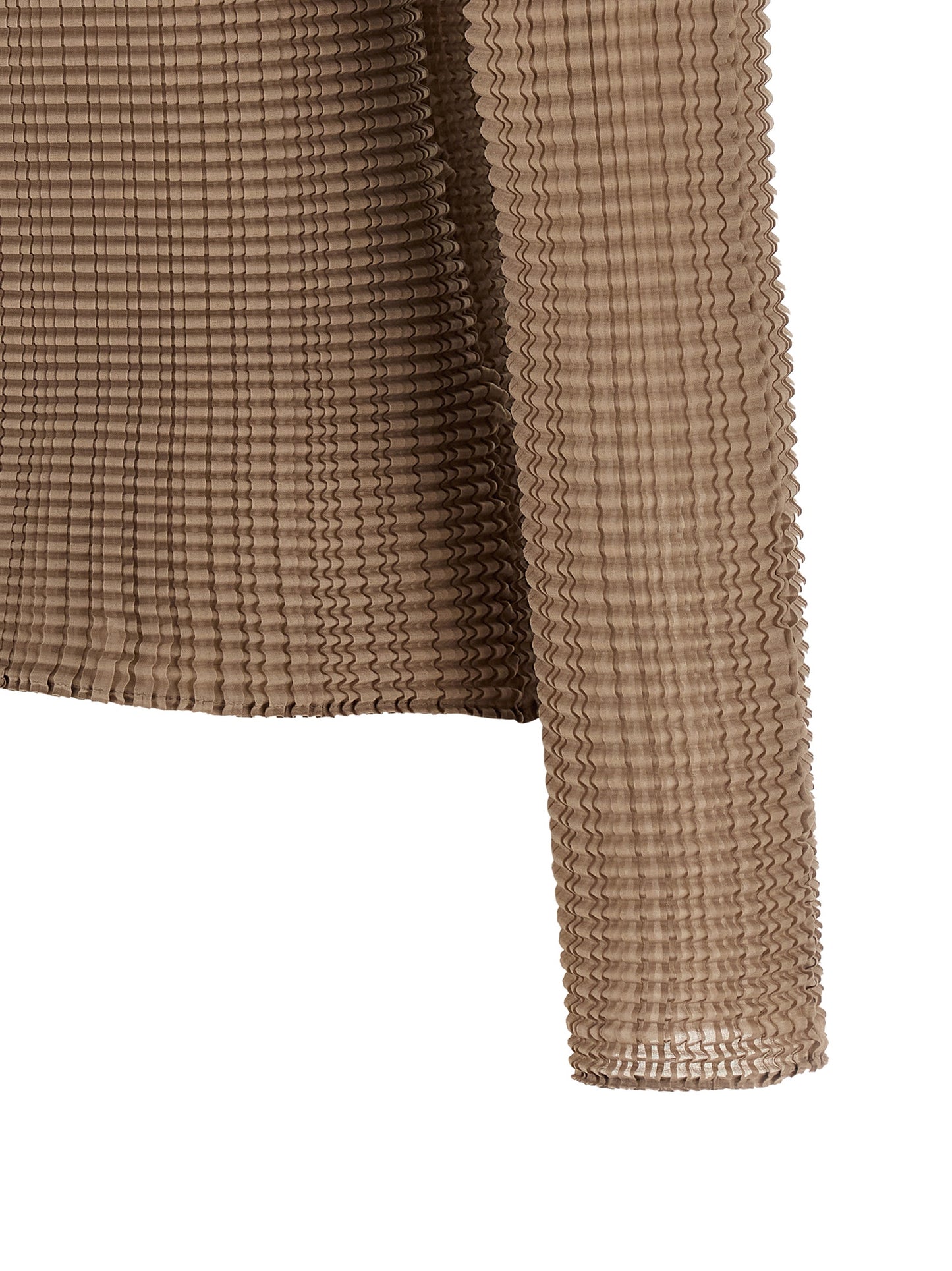 Issey Miyake Women 'Wooly Pleats-66' Blouse ISSEY MIYAKE