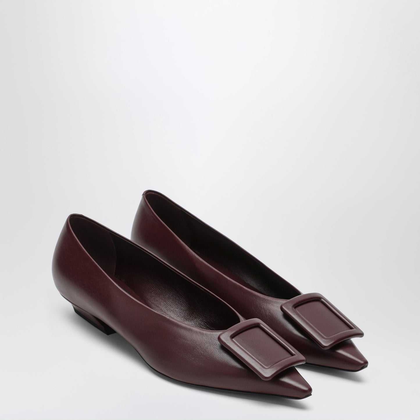 Roger Vivier Gommettine Ballerina In Mosto-Coloured Leather Women ROGER VIVIER