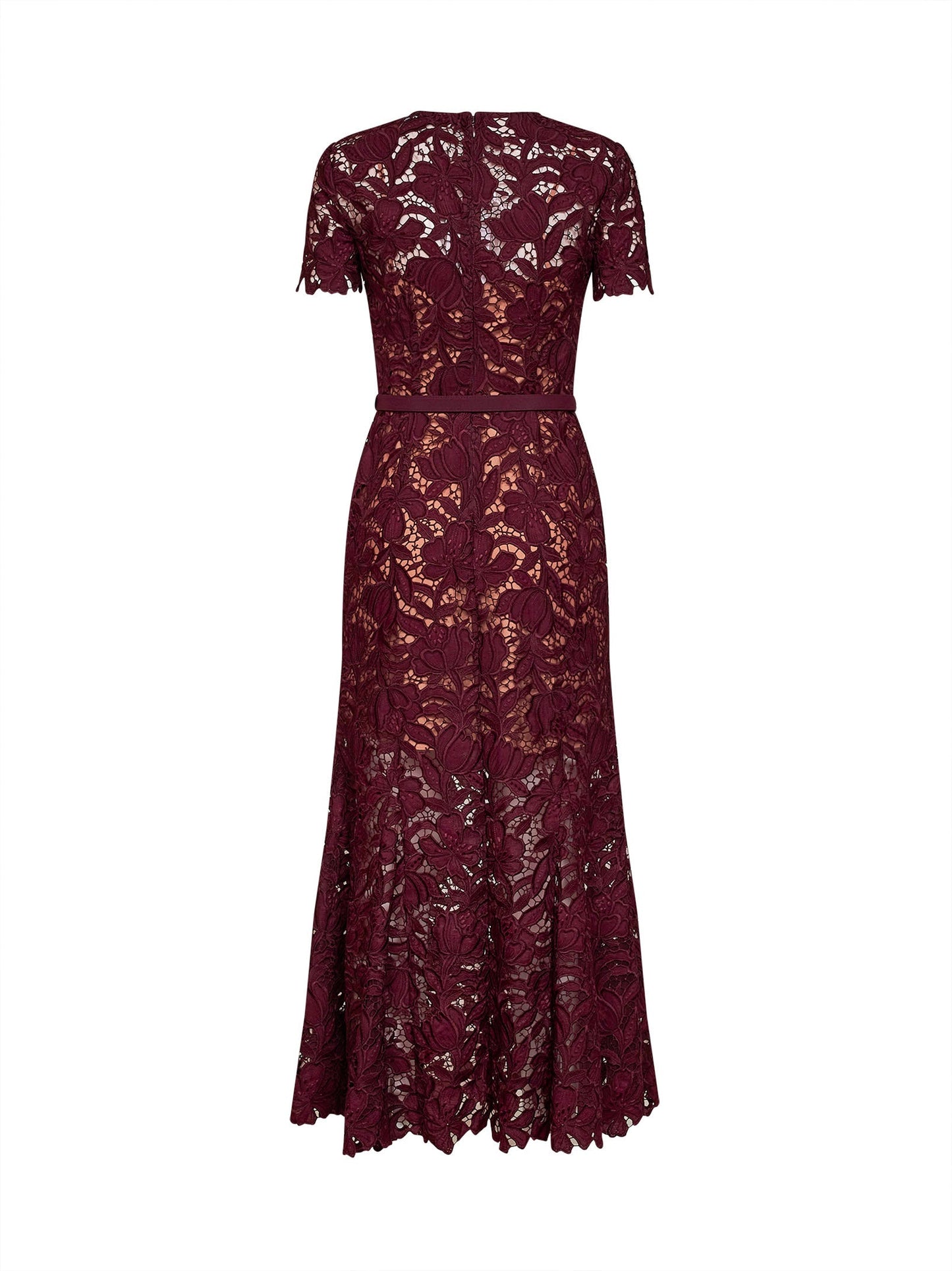 Self Portrait Women Burgundy Macramé Lace Belted Midi Dress SELF-PORTRAIT