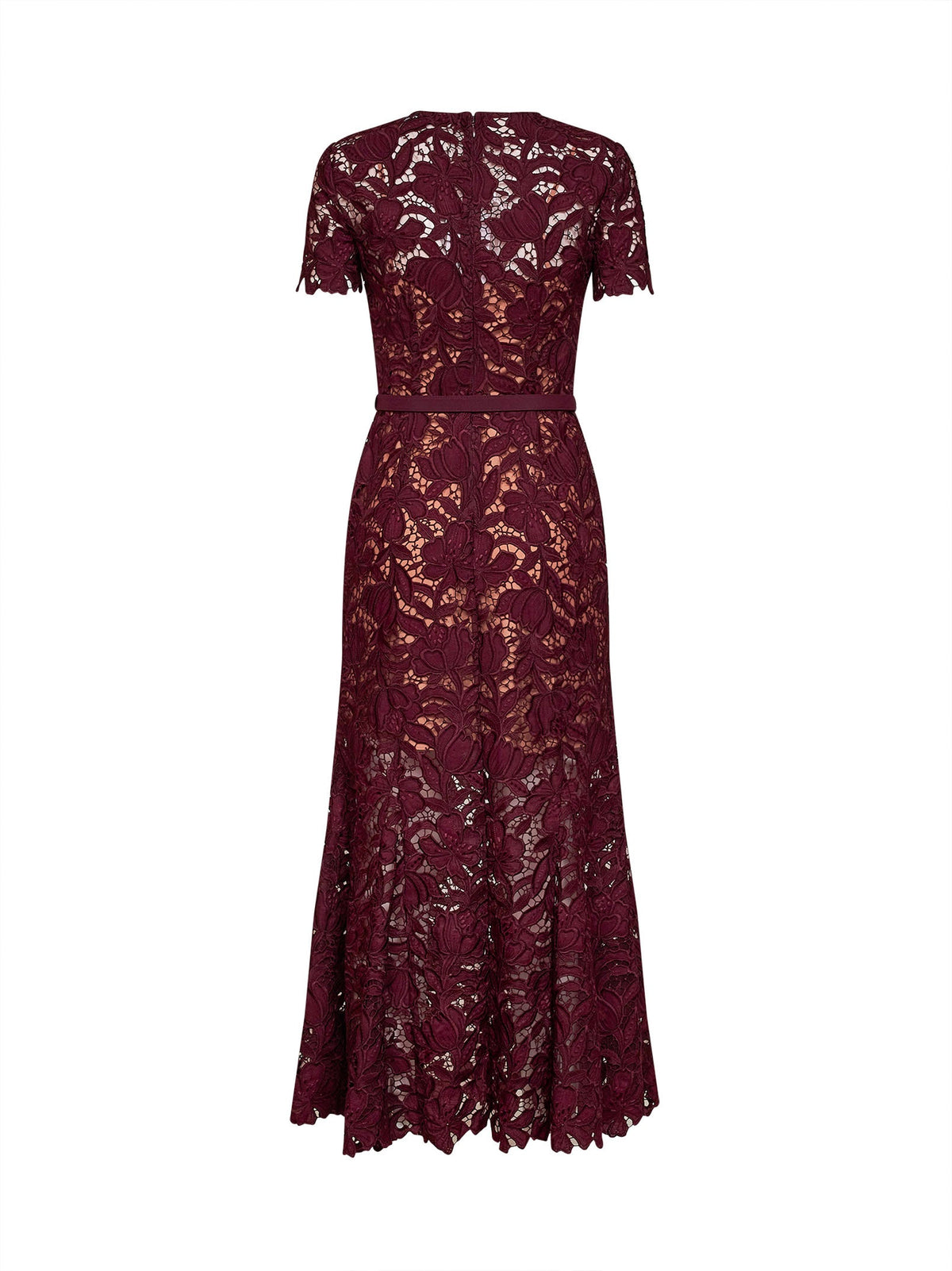 Self Portrait Women Burgundy Macramé Lace Belted Midi Dress SELF-PORTRAIT