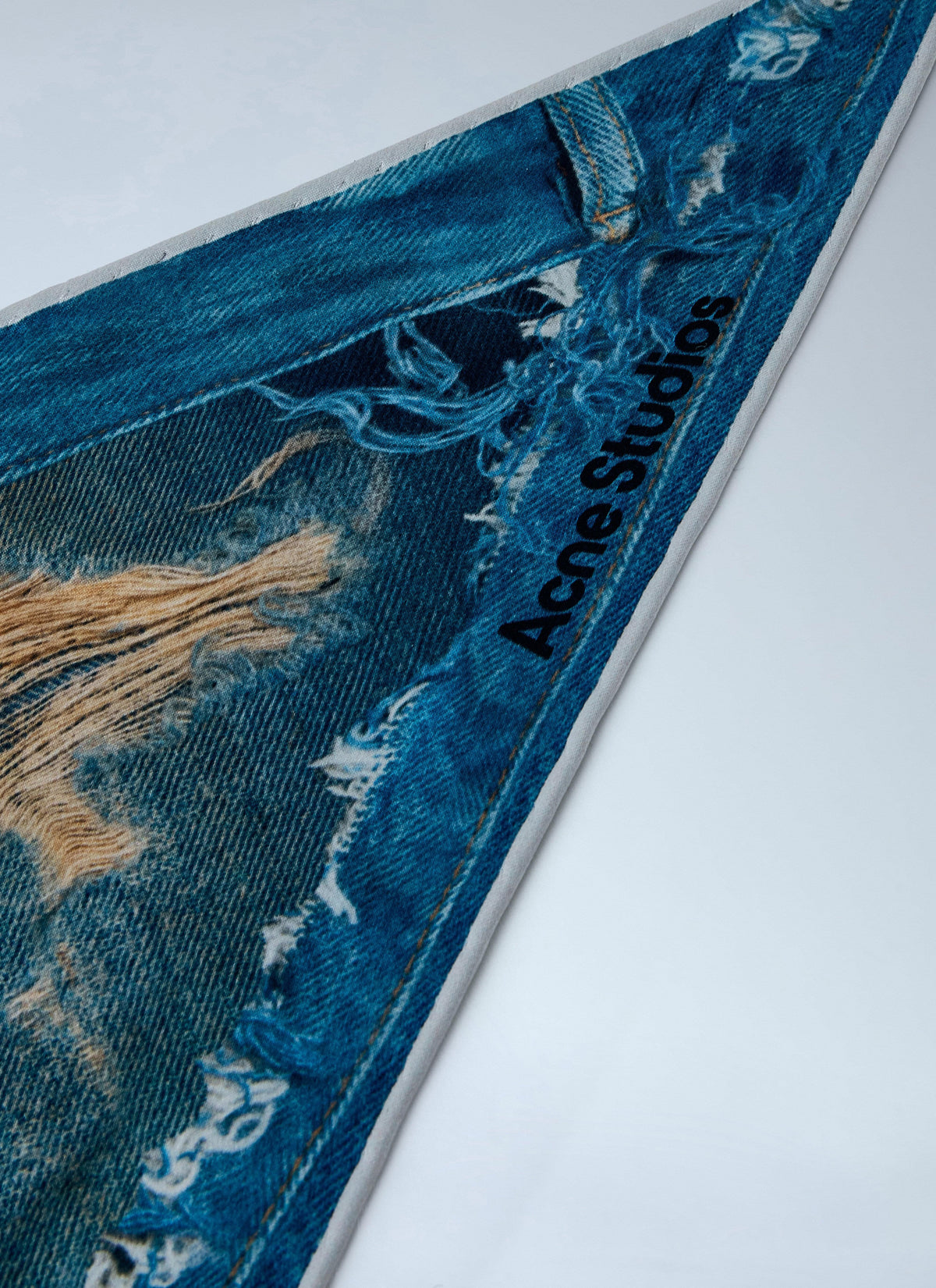 Acne Studios Women Printed Silk Scarf ACNE STUDIOS