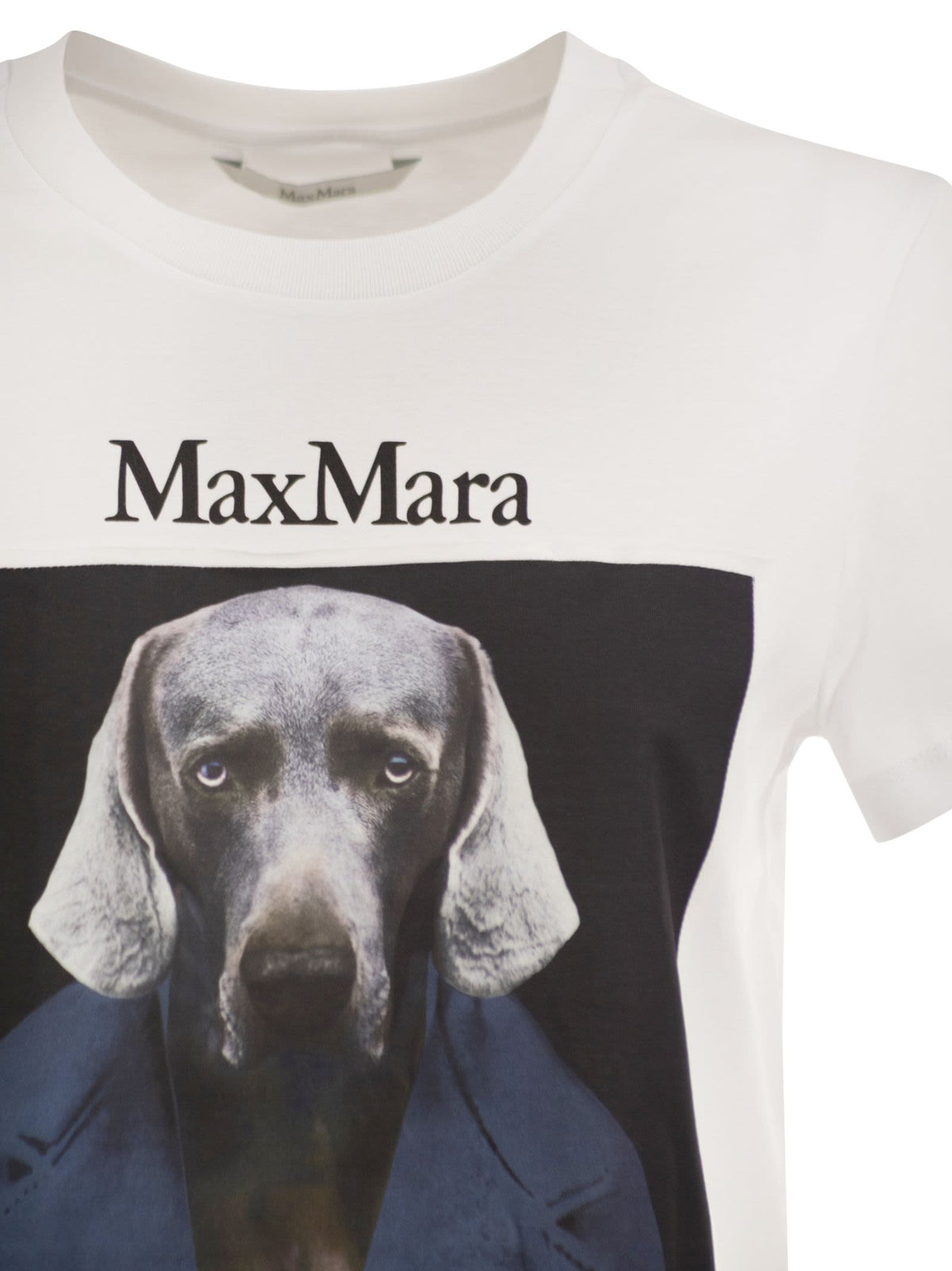 Max Mara Women Mxmcalca - Cotton T-Shirt With Max Mara Graphic Print MAX MARA