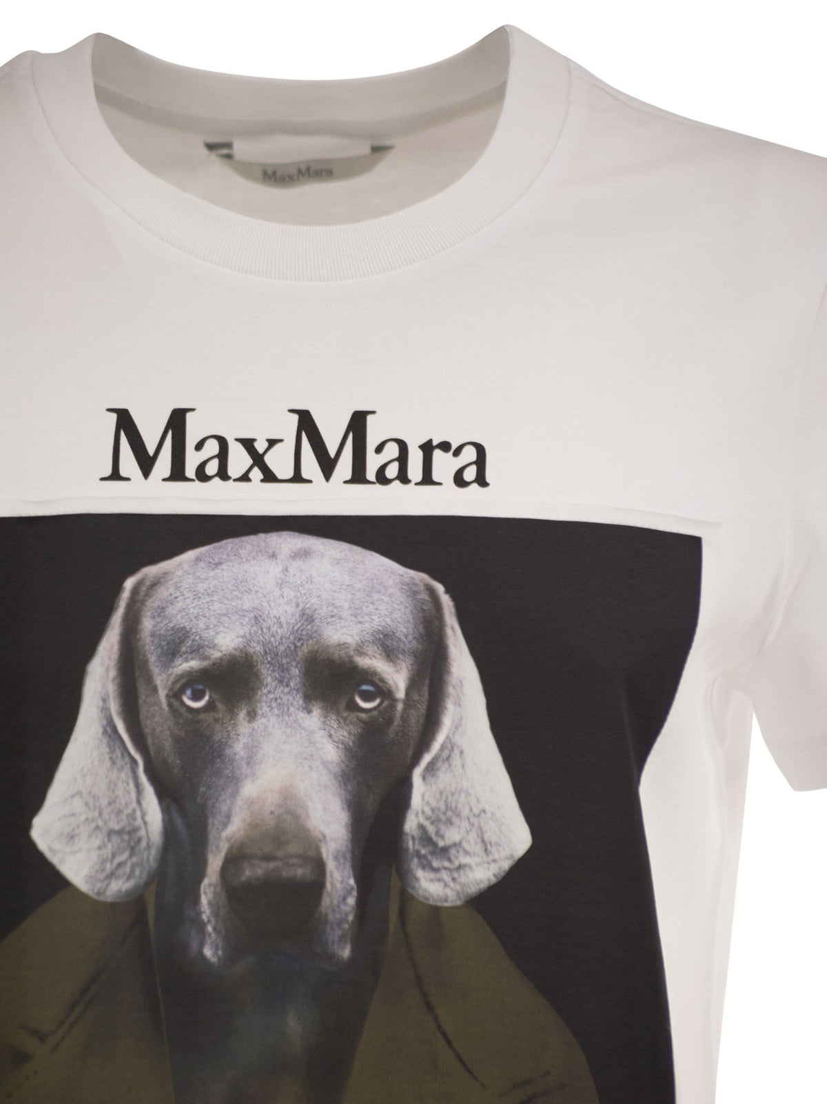 Max Mara Women Mxmcalca - Cotton T-Shirt With Max Mara Graphic Print MAX MARA