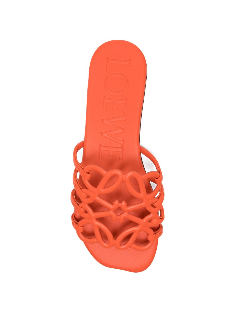 Loewe Paula's Ibiza Women Petal Anagram Leather Slides LOEWE