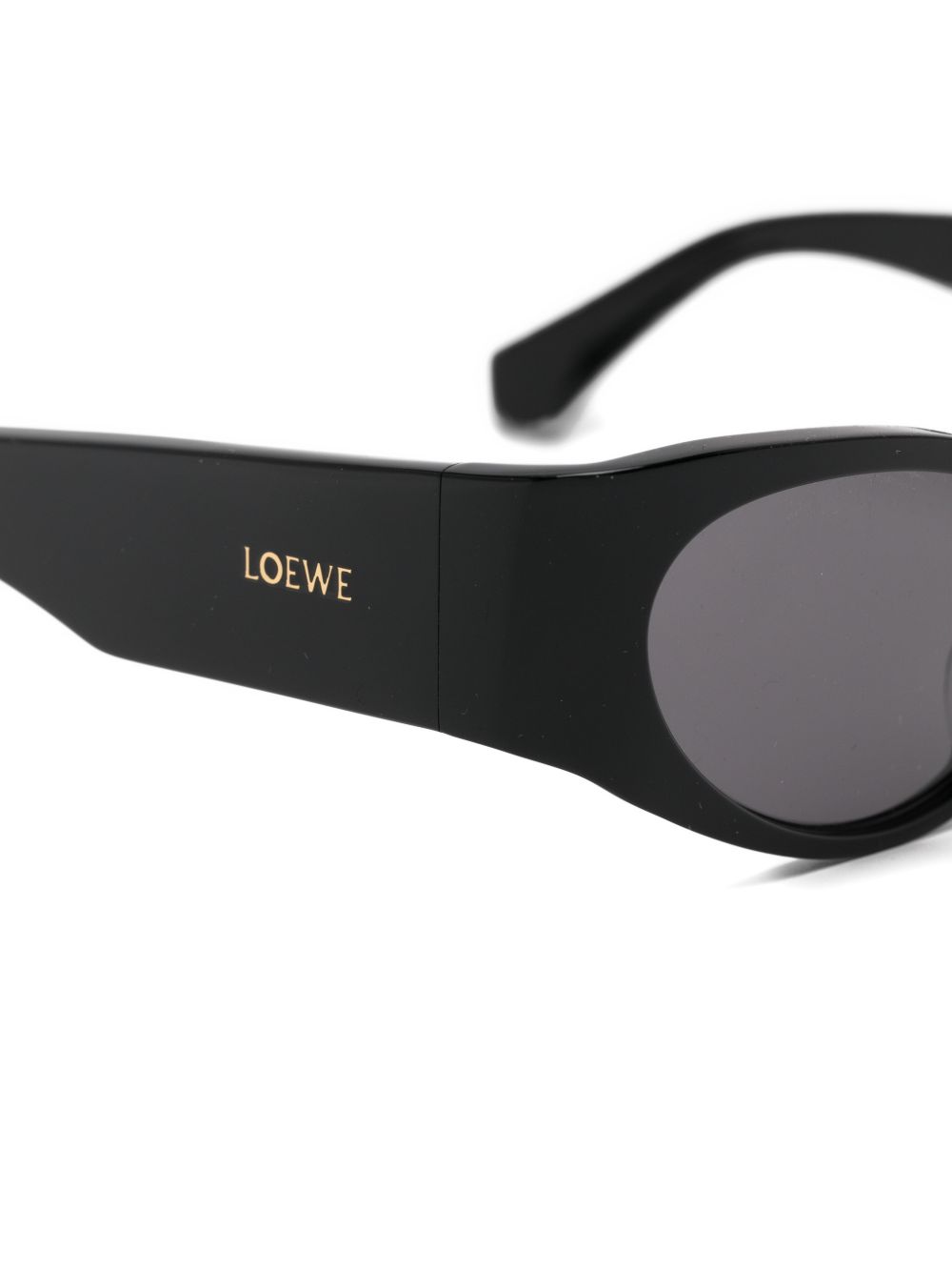 Loewe Paula's Ibiza Women Cat-Eye Sunglasses LOEWE