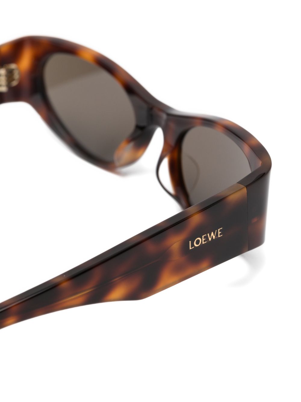 Loewe Paula's Ibiza Women Cat-Eye Sunglasses LOEWE