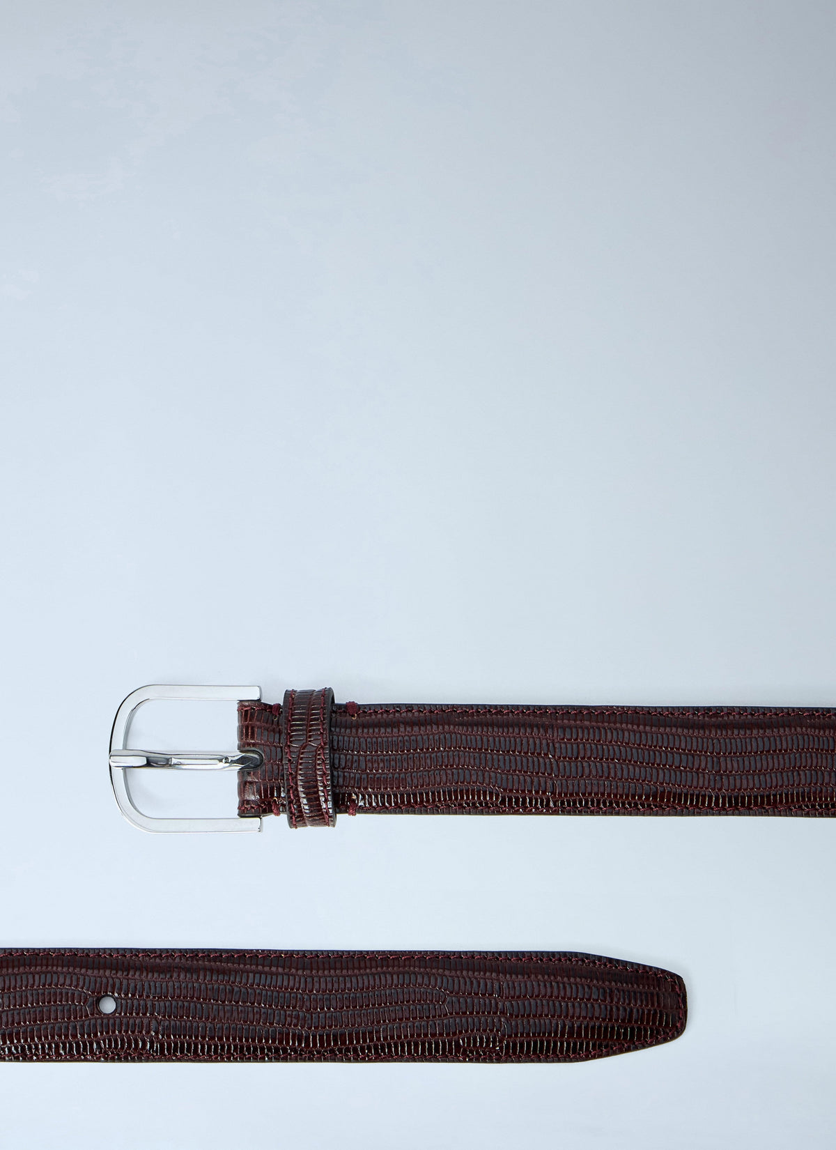 Toteme Women Slim Lizard-Embossed Belt TOTEME