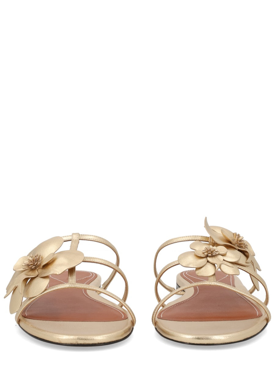 Zimmermann Women Sandal "Orchid" ZIMMERMANN