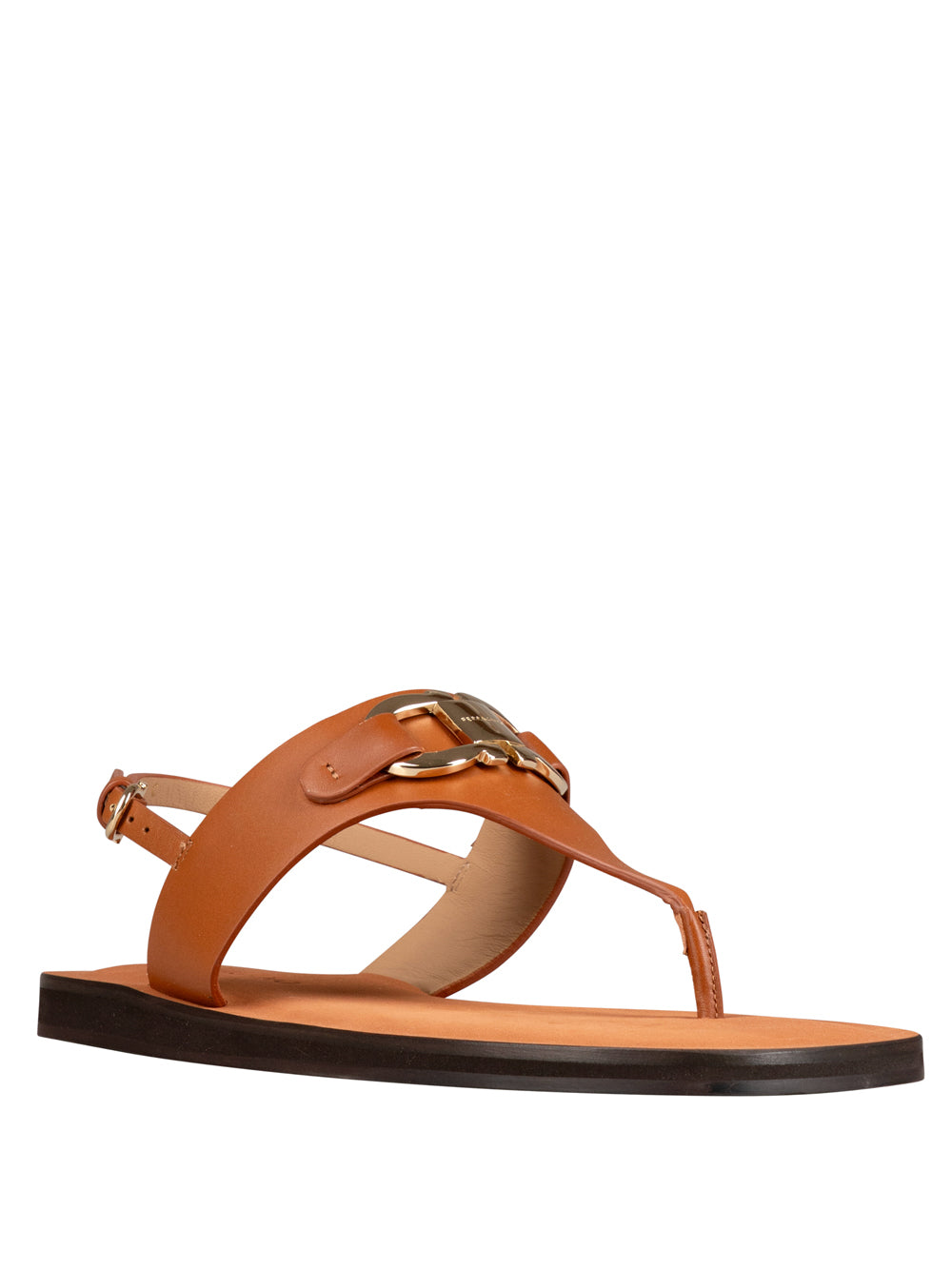 Ferragamo Women Siriana Flat Thong Sandals FERRAGAMO