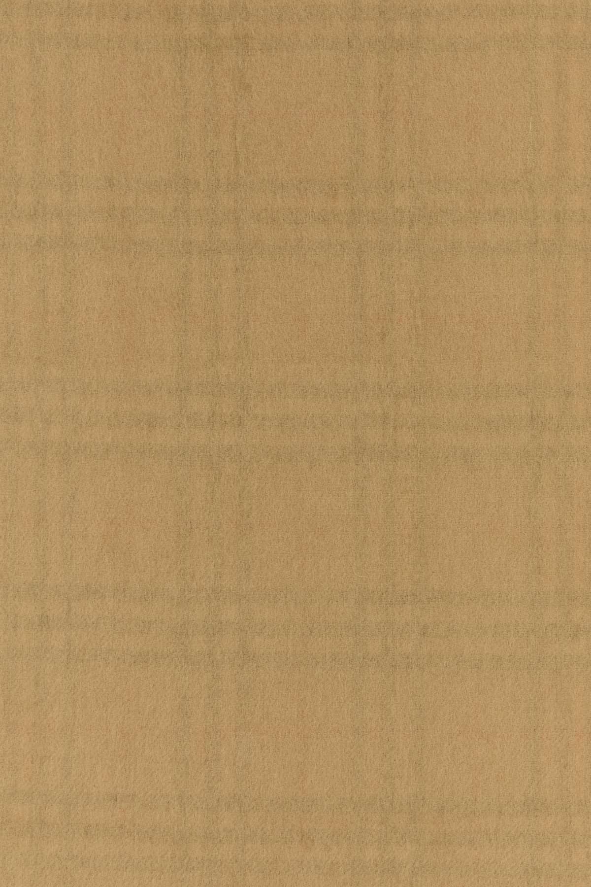 Burberry Unisex Beige Cashmere Reversible Scarf BURBERRY