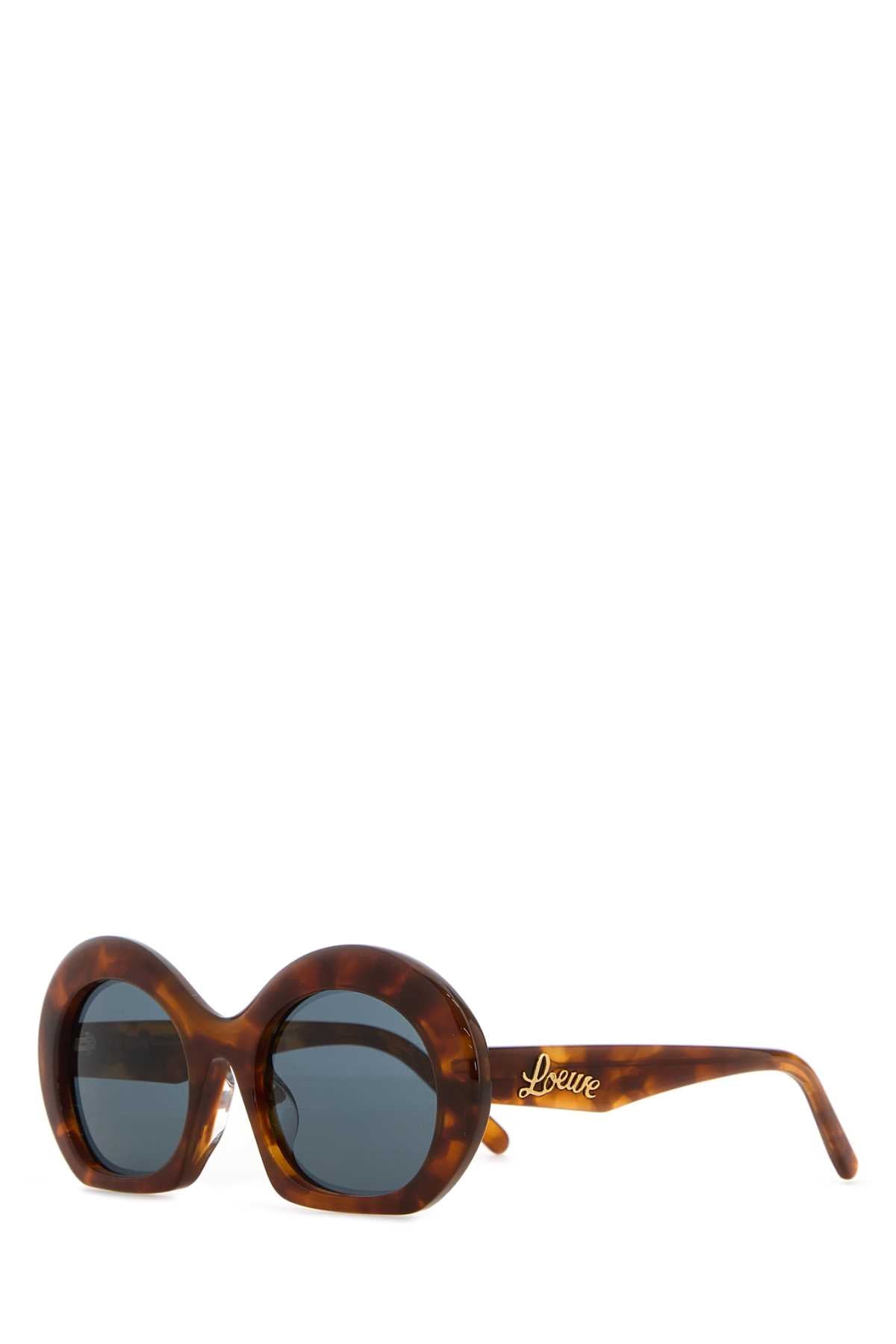 Loewe Women Printed Acetate Sunglasses LOEWE