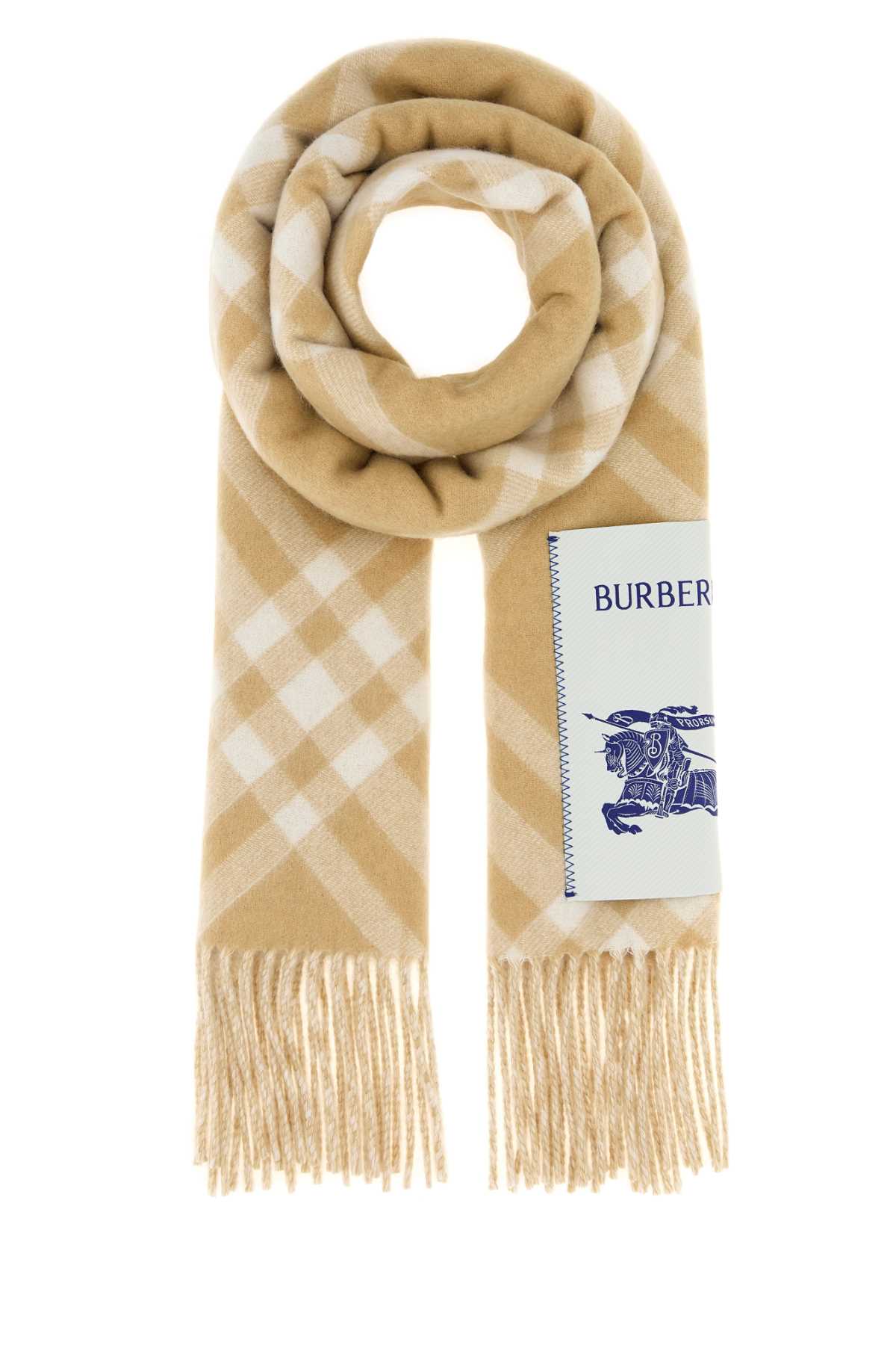 Burberry Unisex Embroidered Cashmere Scarf BURBERRY