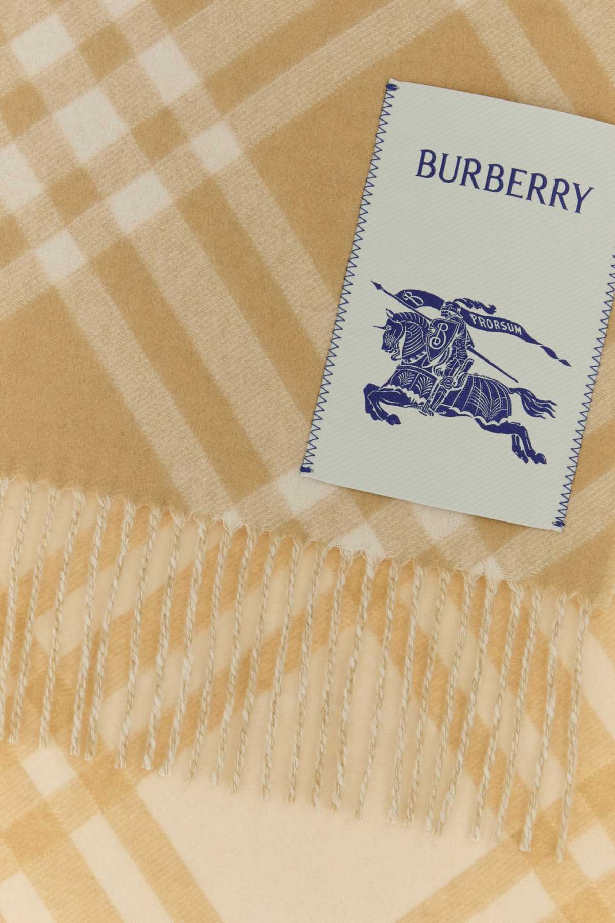 Burberry Unisex Embroidered Cashmere Scarf BURBERRY